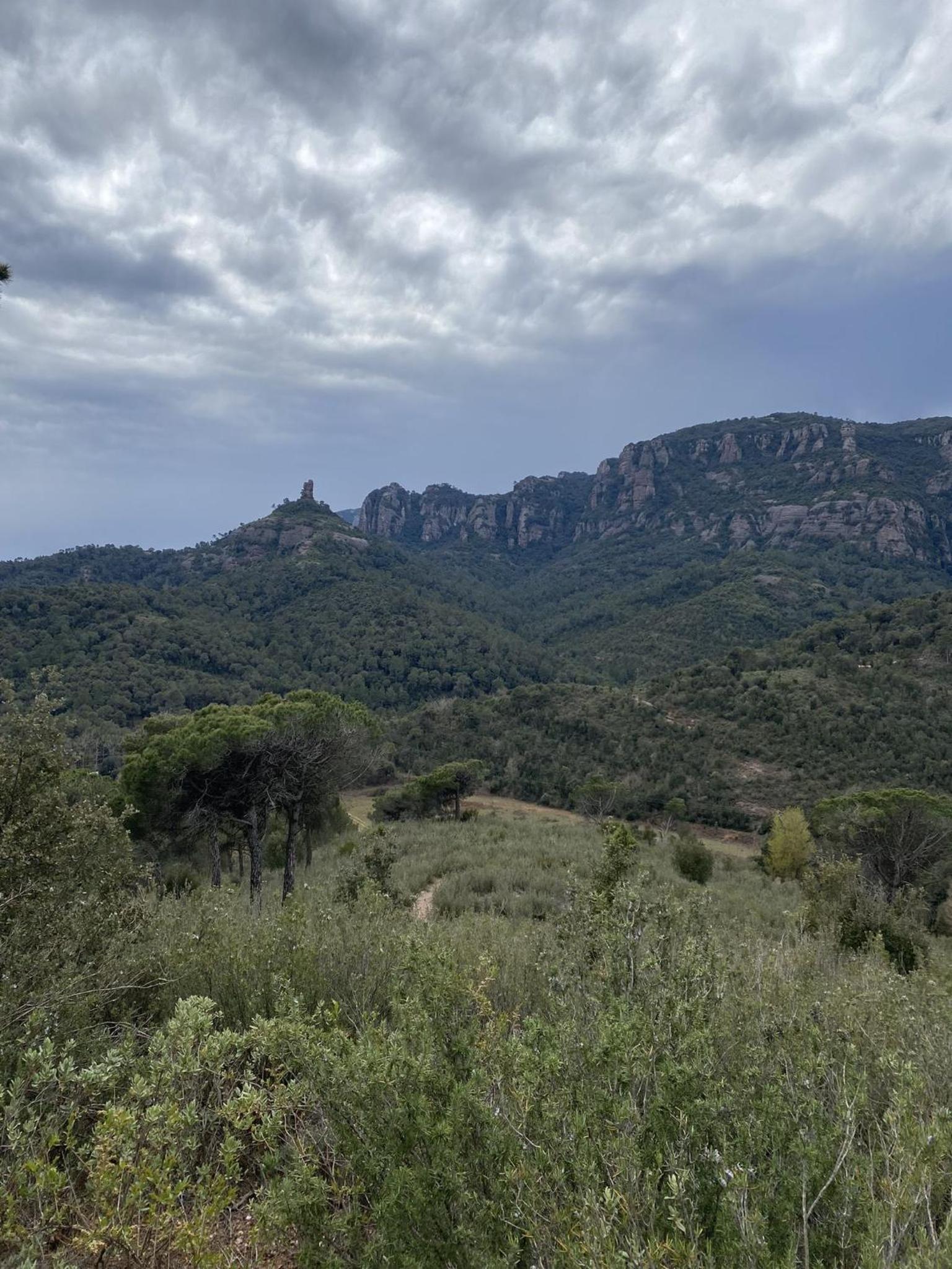 Masia Vilatersana