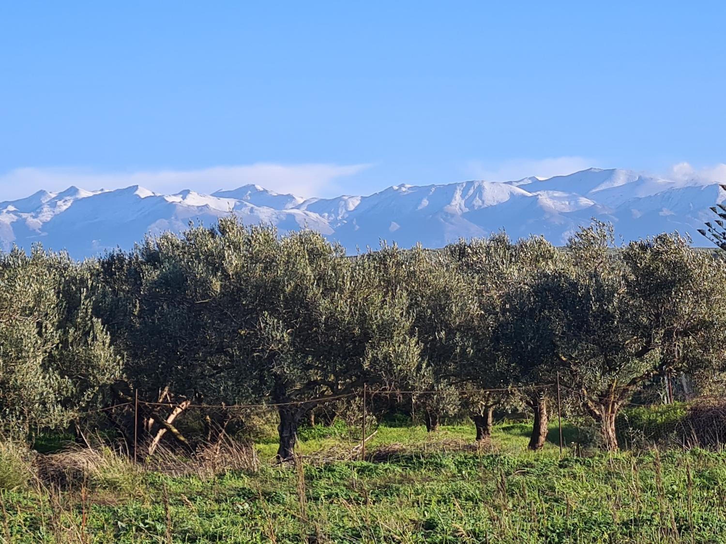 VILLA PAGONI Residence Selini Villas N 1 Kolymbari Chania