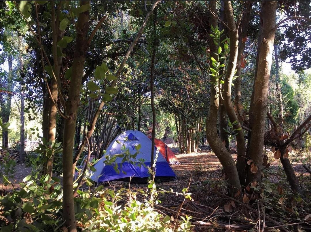 Lircaydomohostal - Domo 40m2 para 4 personas