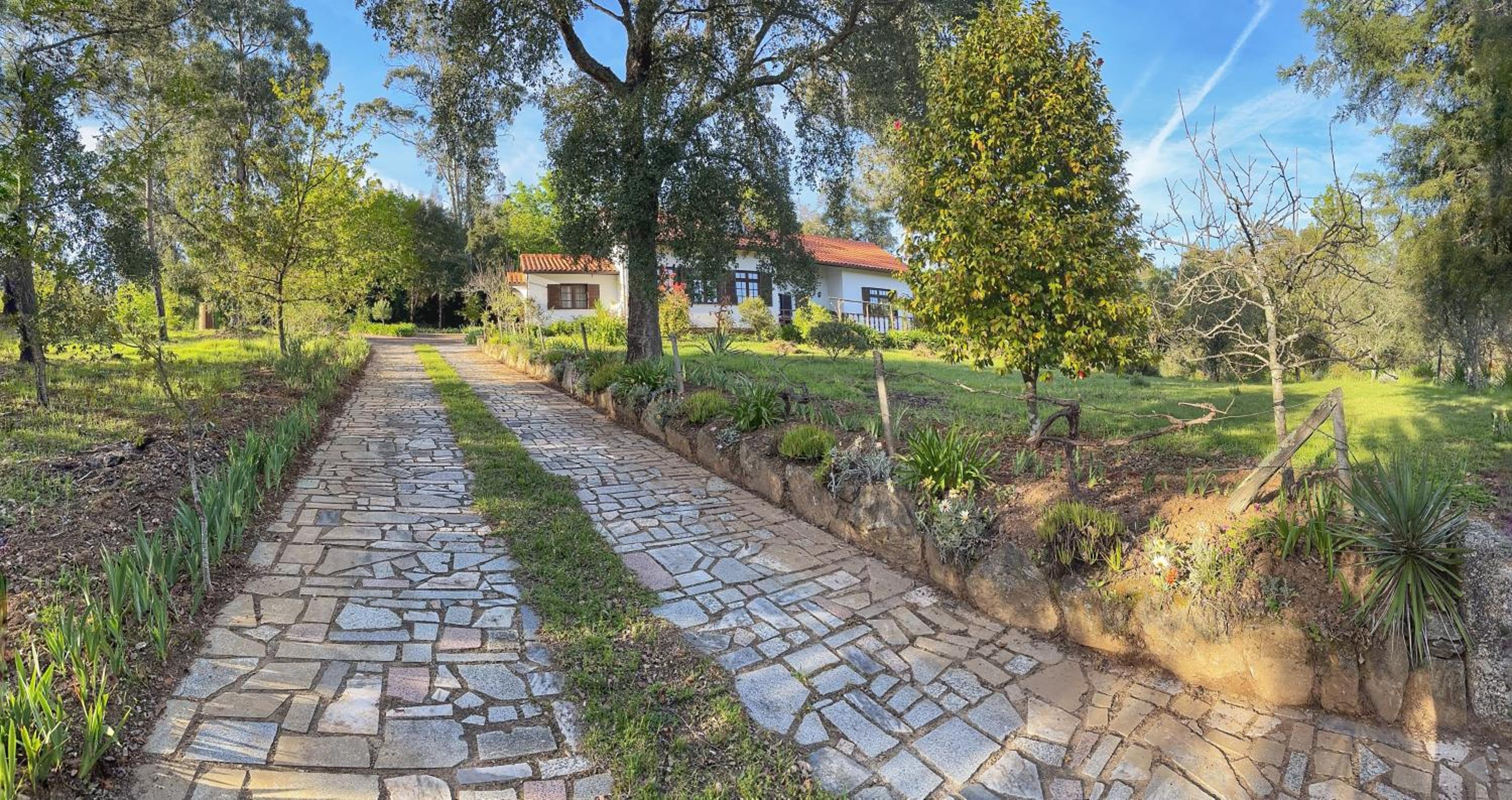 Quinta Do Pereiro view 2