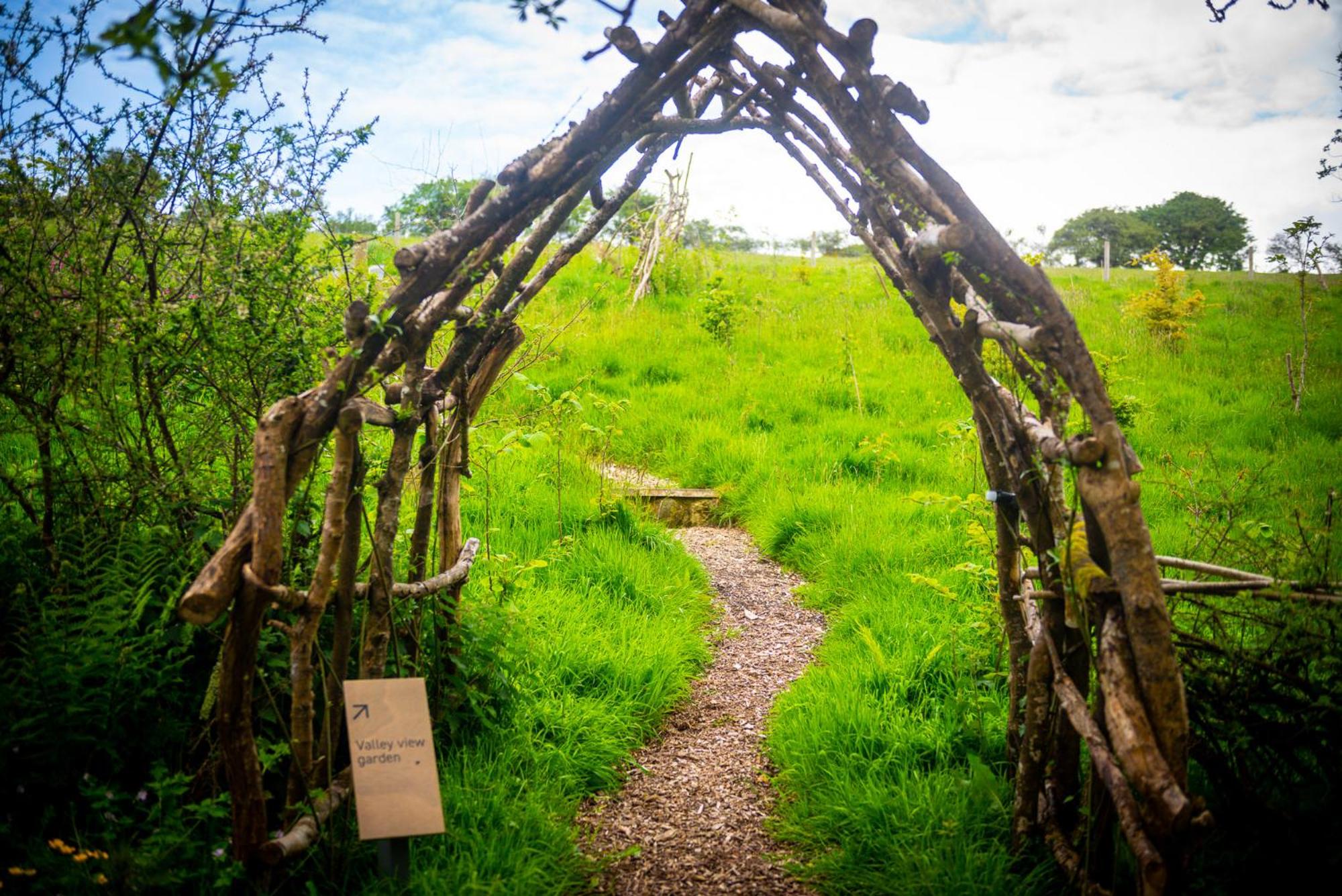 Photo 40
