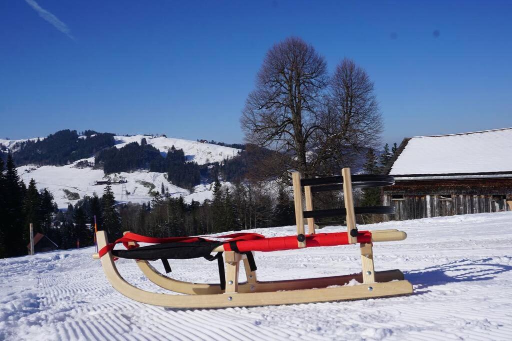 HERZLI-CHALET über dem Rheintal mit Schlossblick