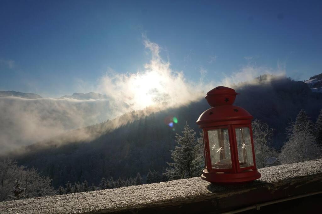 HERZLI-CHALET über dem Rheintal mit Schlossblick