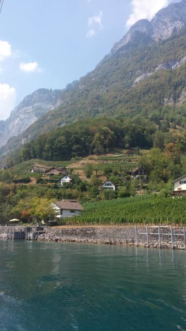 HERZLI-CHALET über dem Rheintal mit Schlossblick