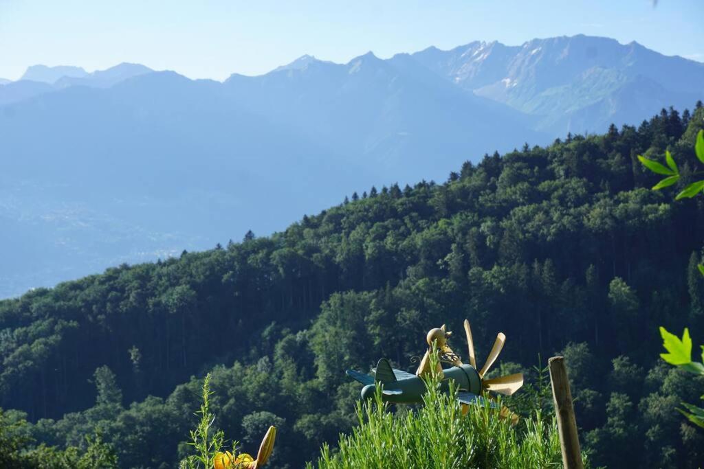 HERZLI-CHALET über dem Rheintal mit Schlossblick