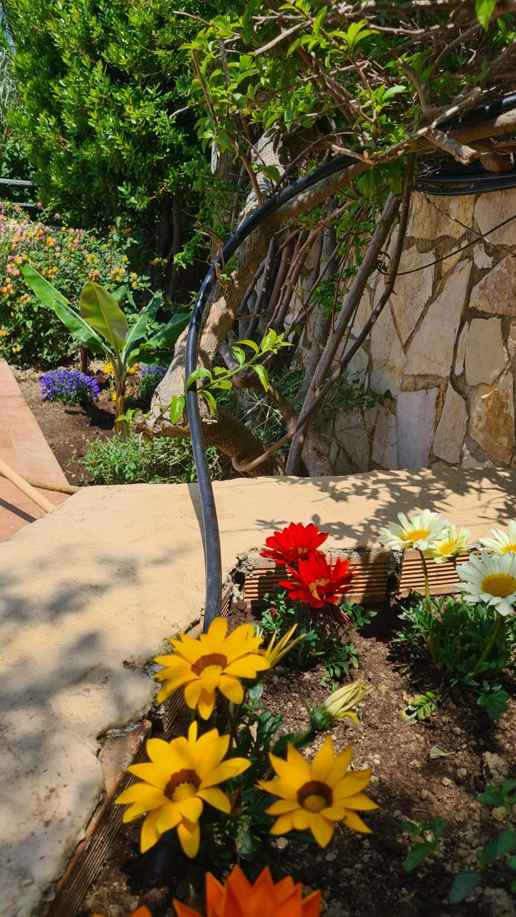VILLA PAGONI Residence Selini Villas N 1 Kolymbari Chania