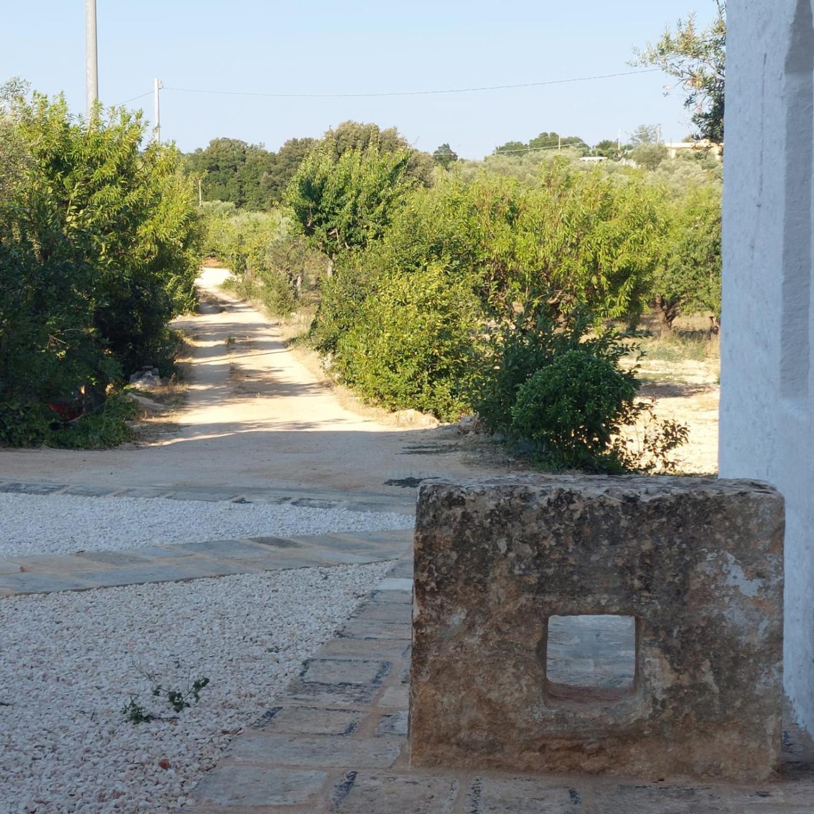 Photo 42