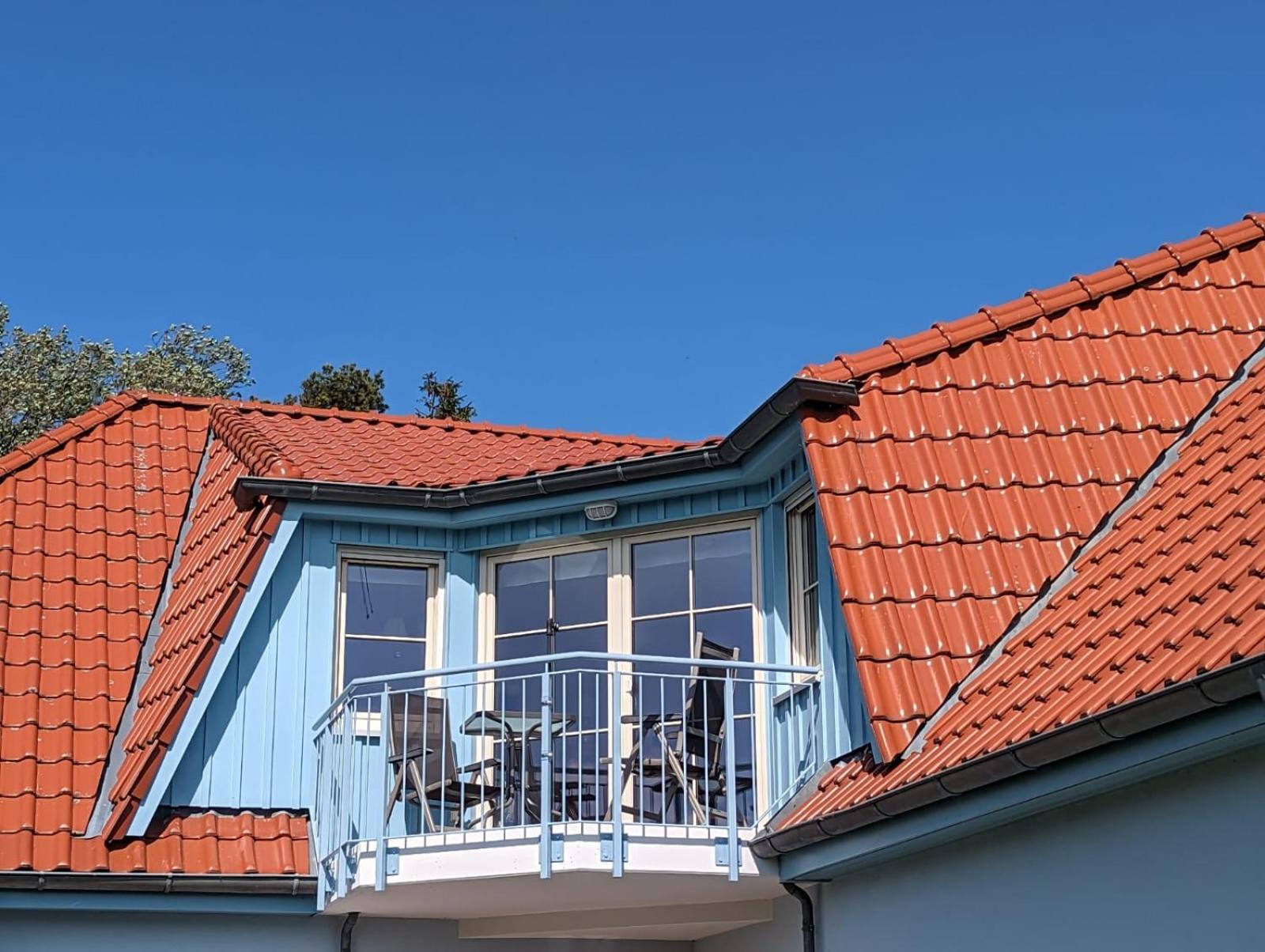 An den Boddenwiesen II