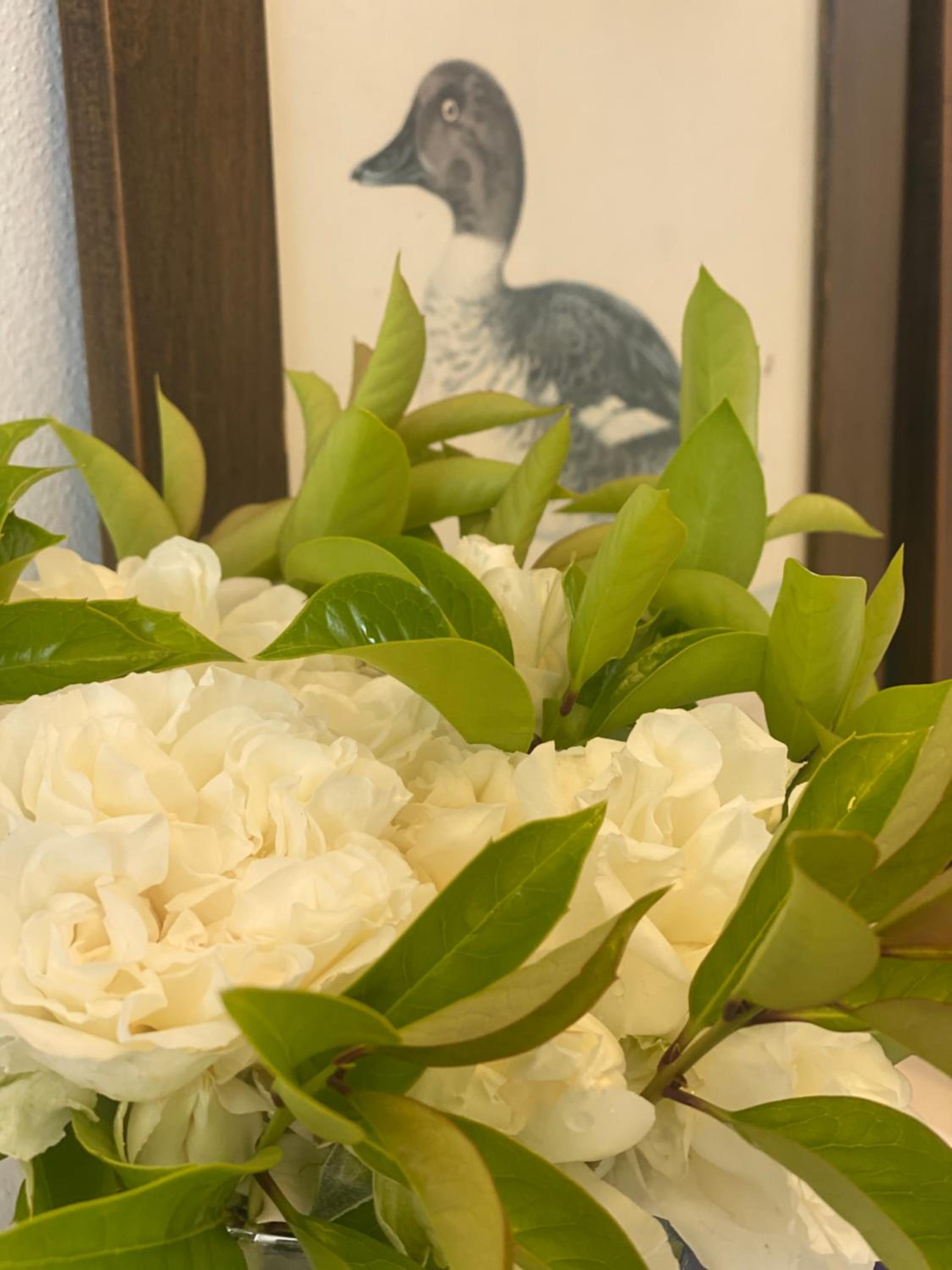 Green House in campagna - Property Image 85