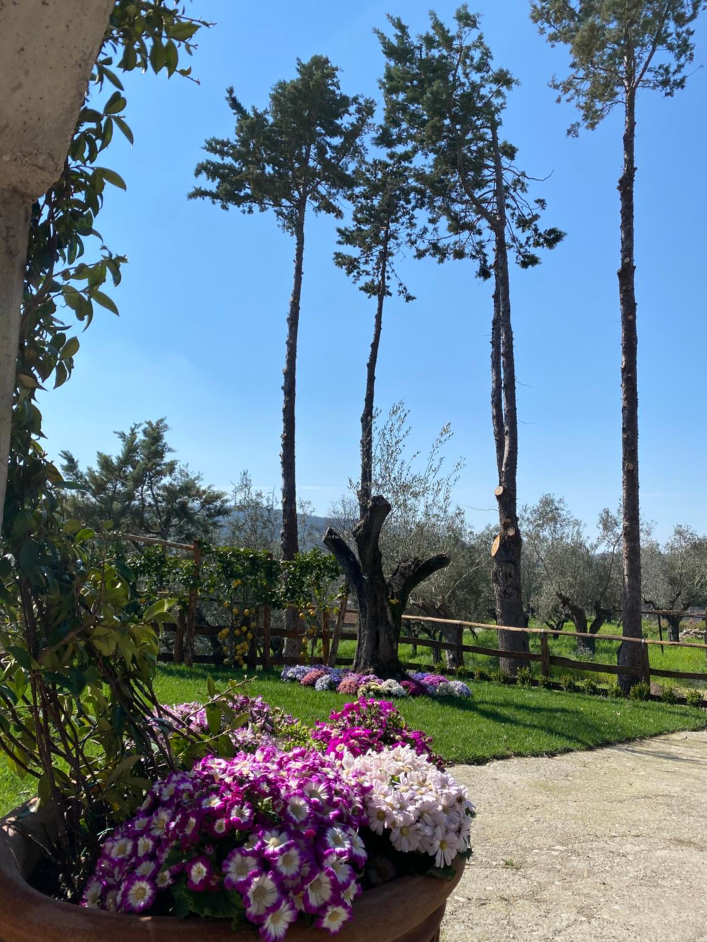 Casa Vacanza Capozzoli photo 3