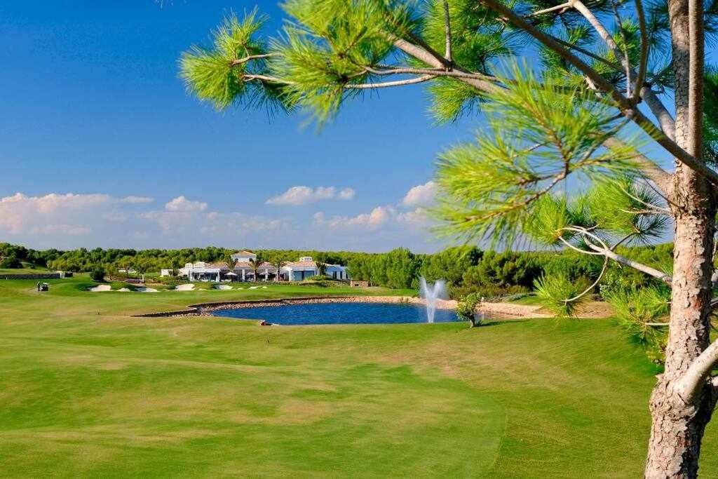 Moderna villa con la piscina climatizada Colinas