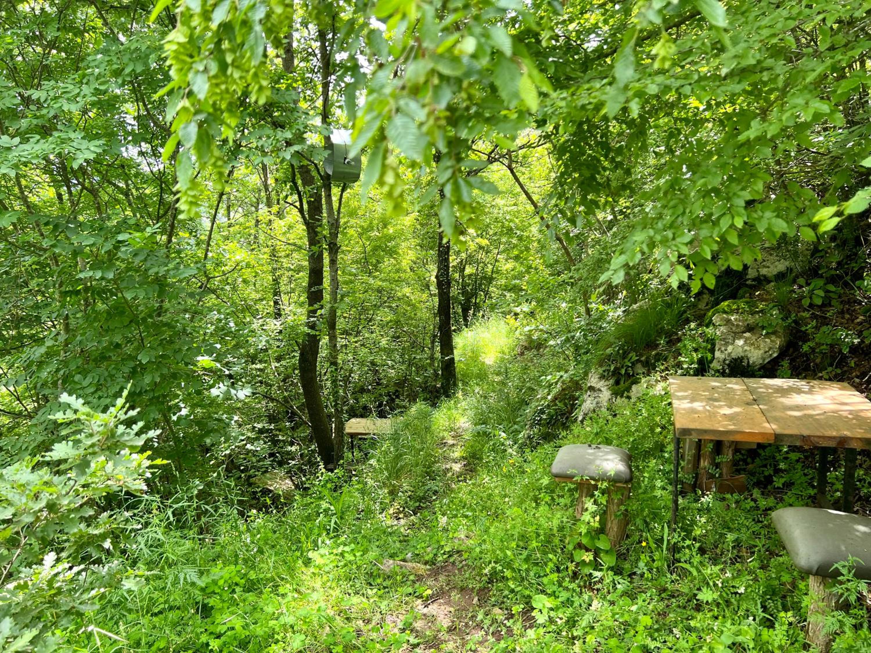 Baven -Toven Naturae