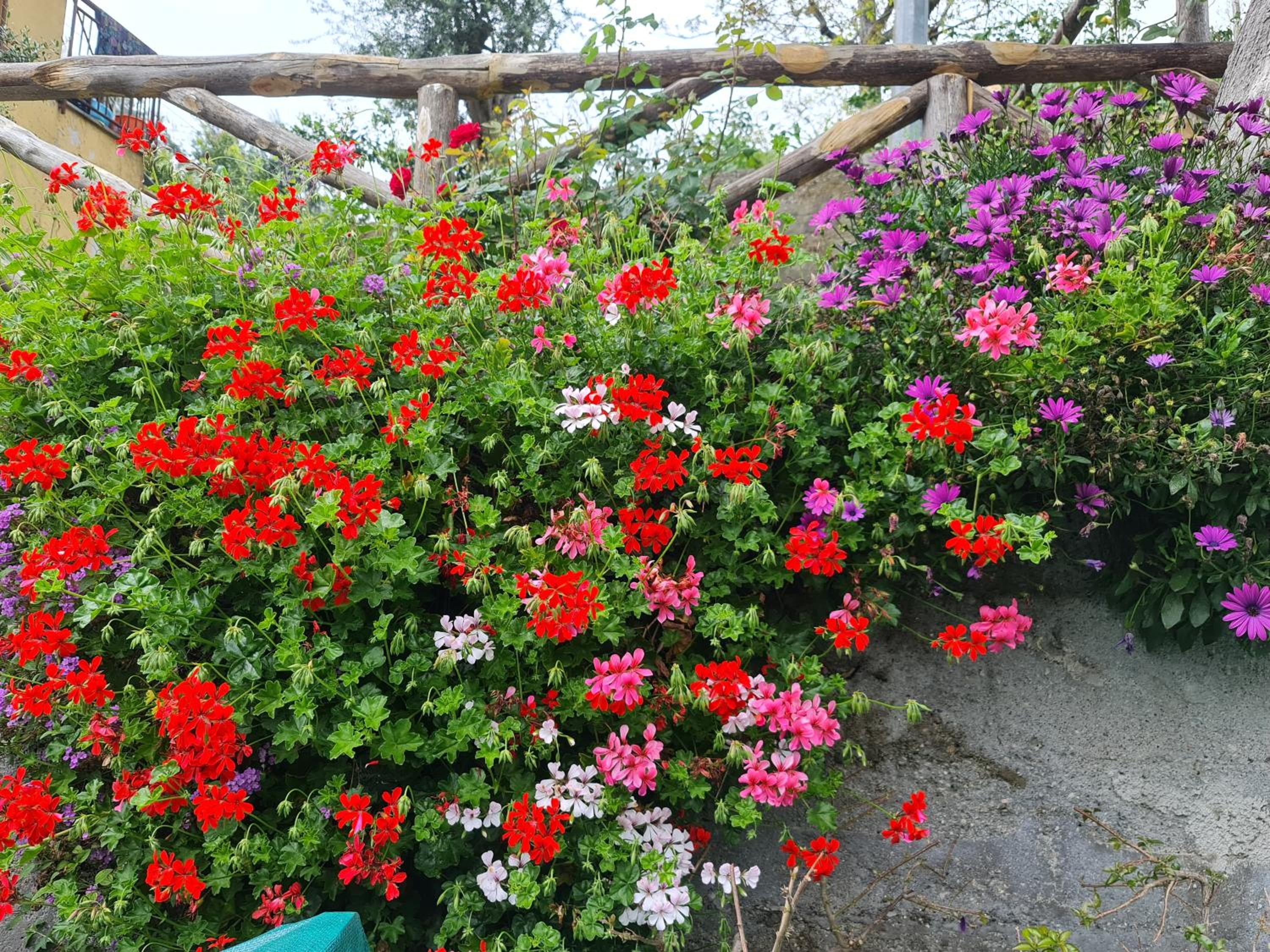 CASA BETANIA DA PEPPE photo 2