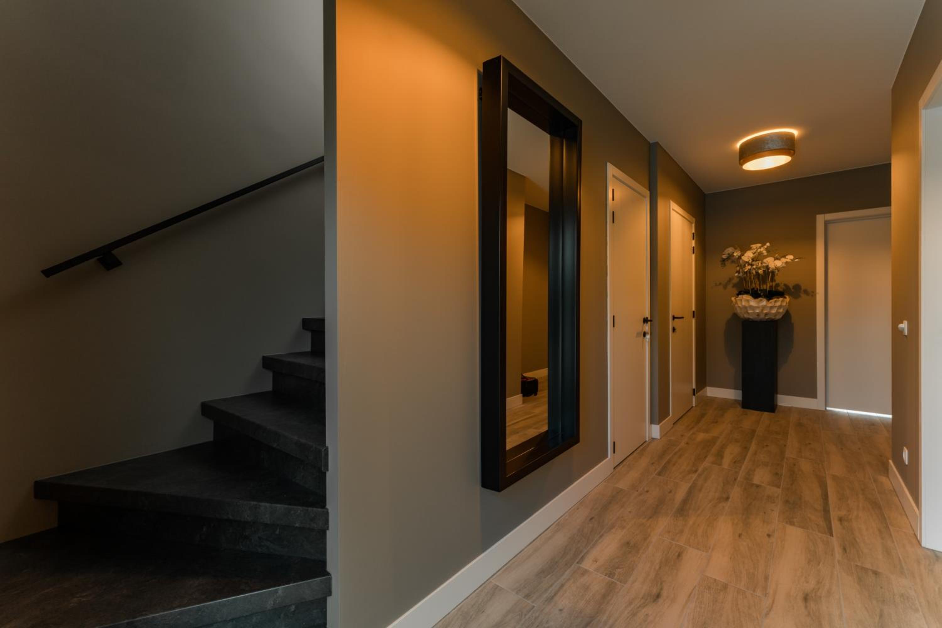 Luxury house 