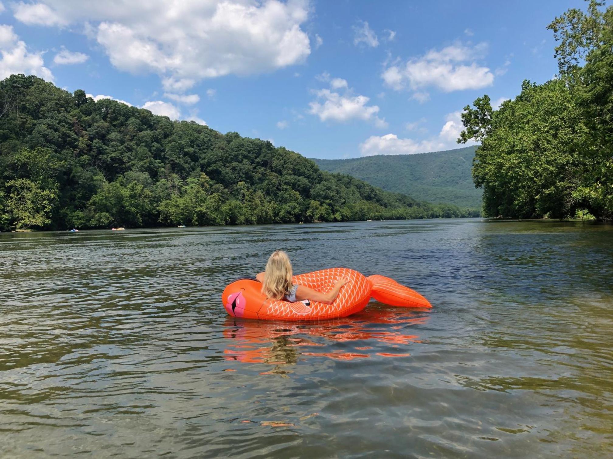 Bear Bluff- pet friendly home on the river!
