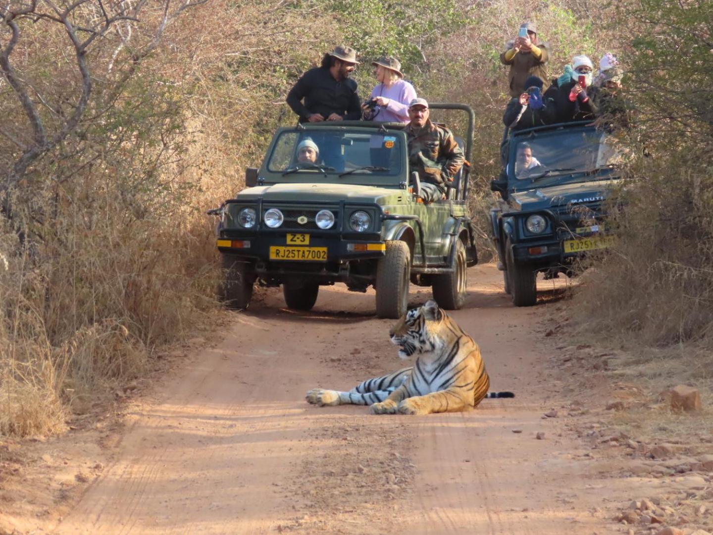 Rajputana Heritage Ranthambhore Home Stay