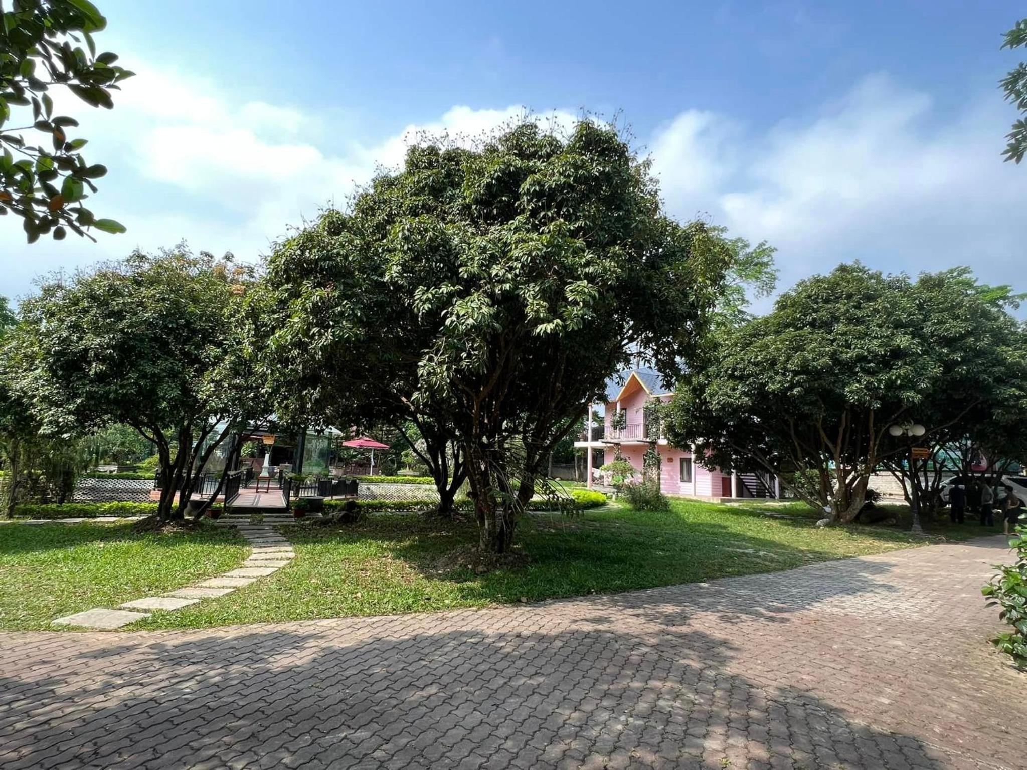 Photo 44