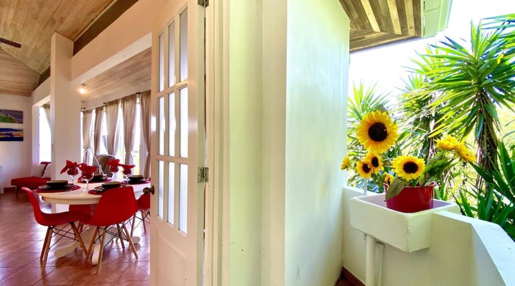 Cottage in Magic Mountain Views