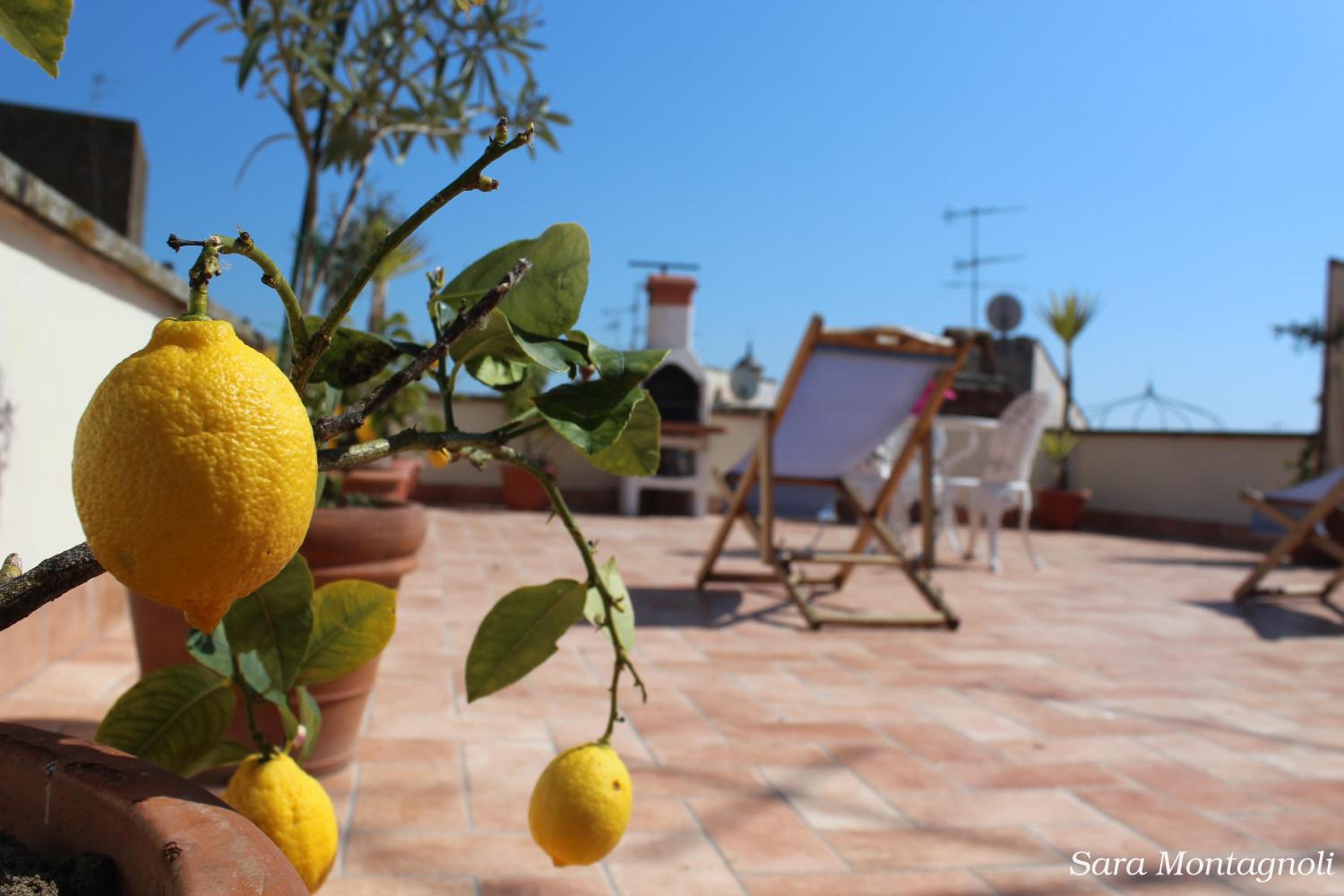 La Terrazza, photo 34