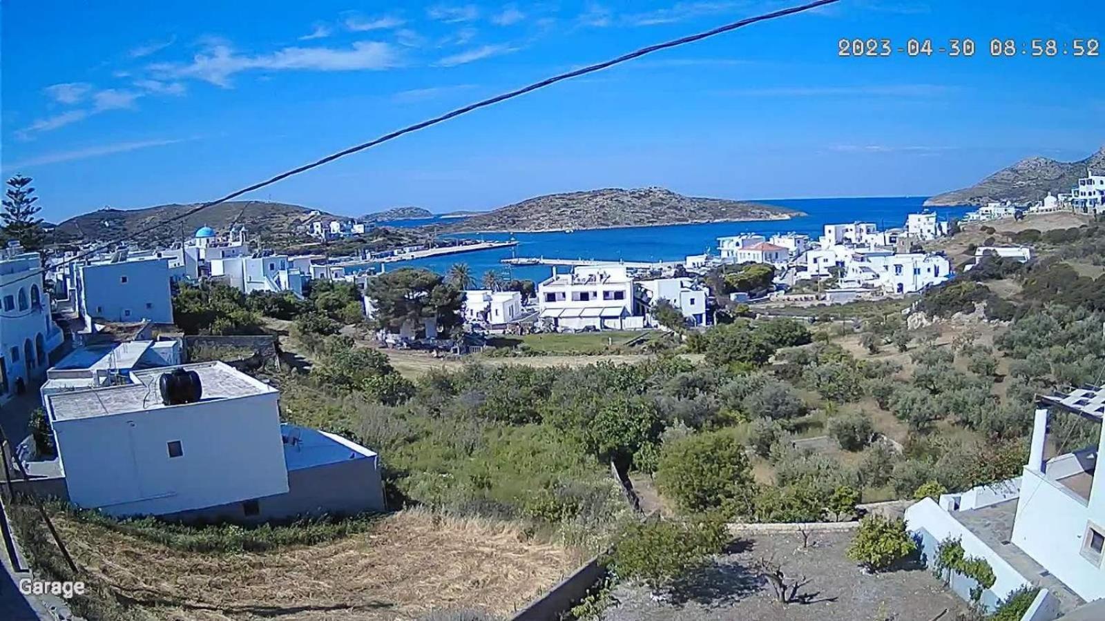 Orizodas