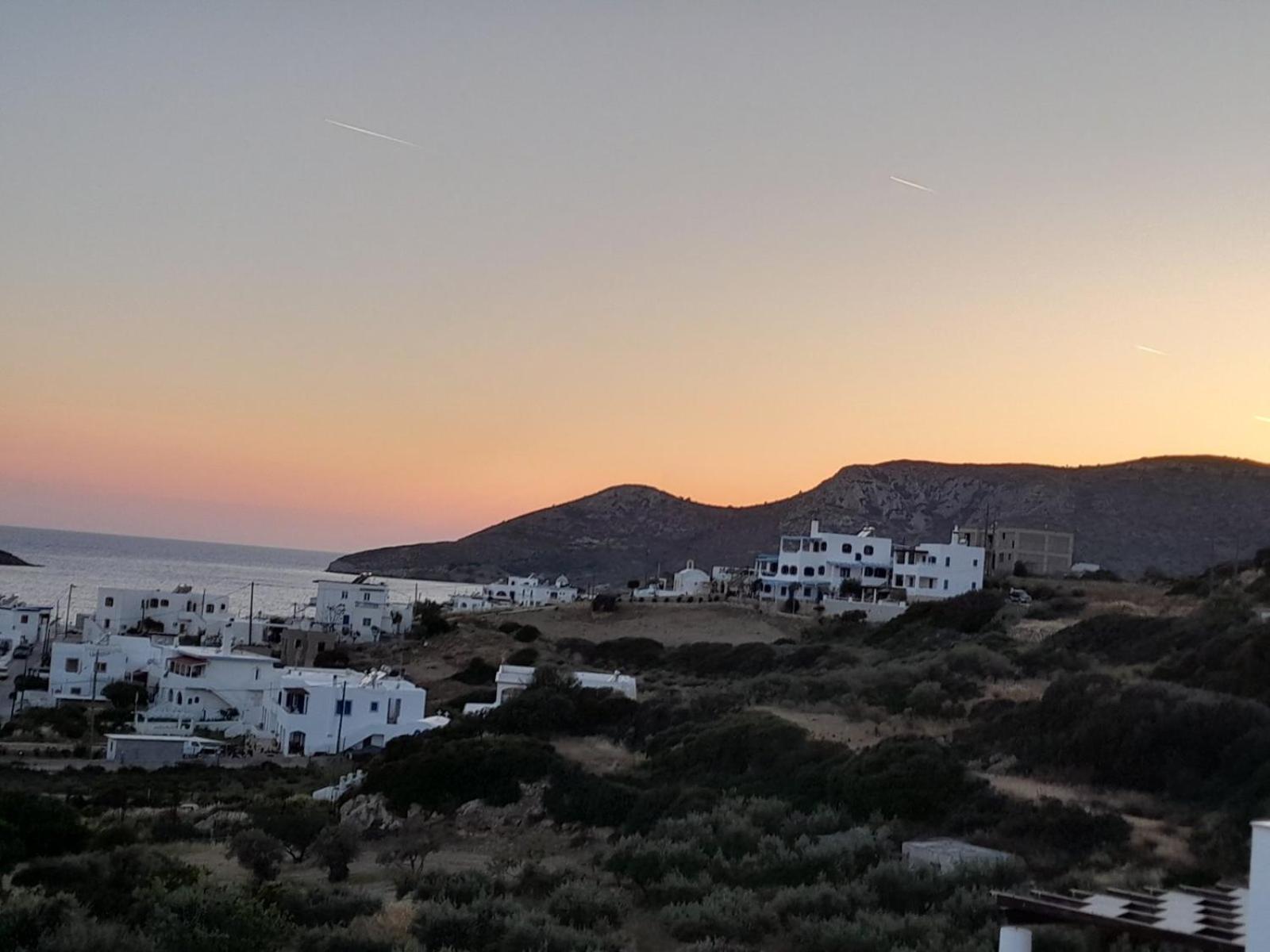 Orizodas