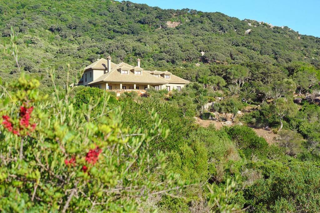 LA HOYA ALCORNOCALES