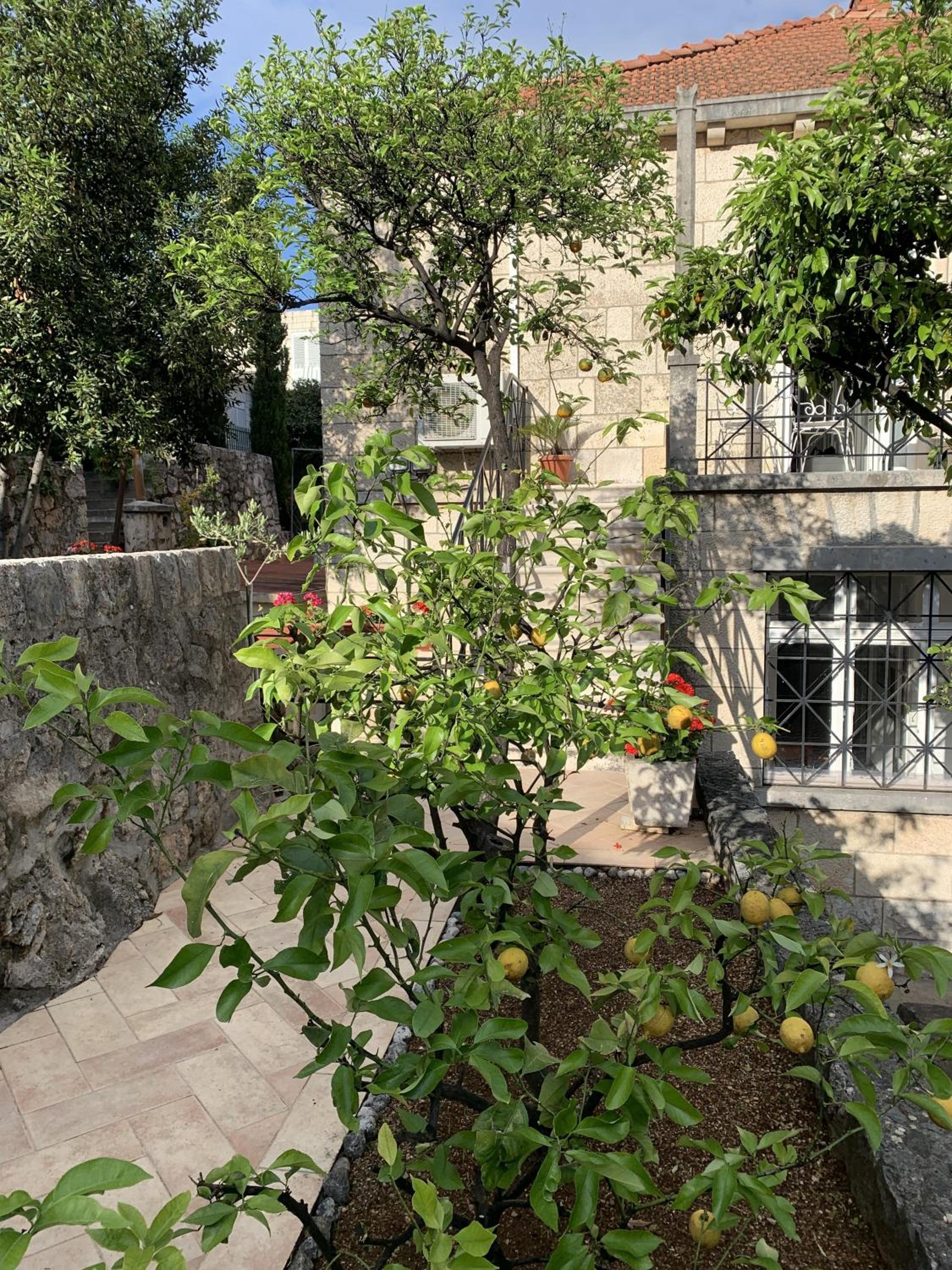 Villa Arancia