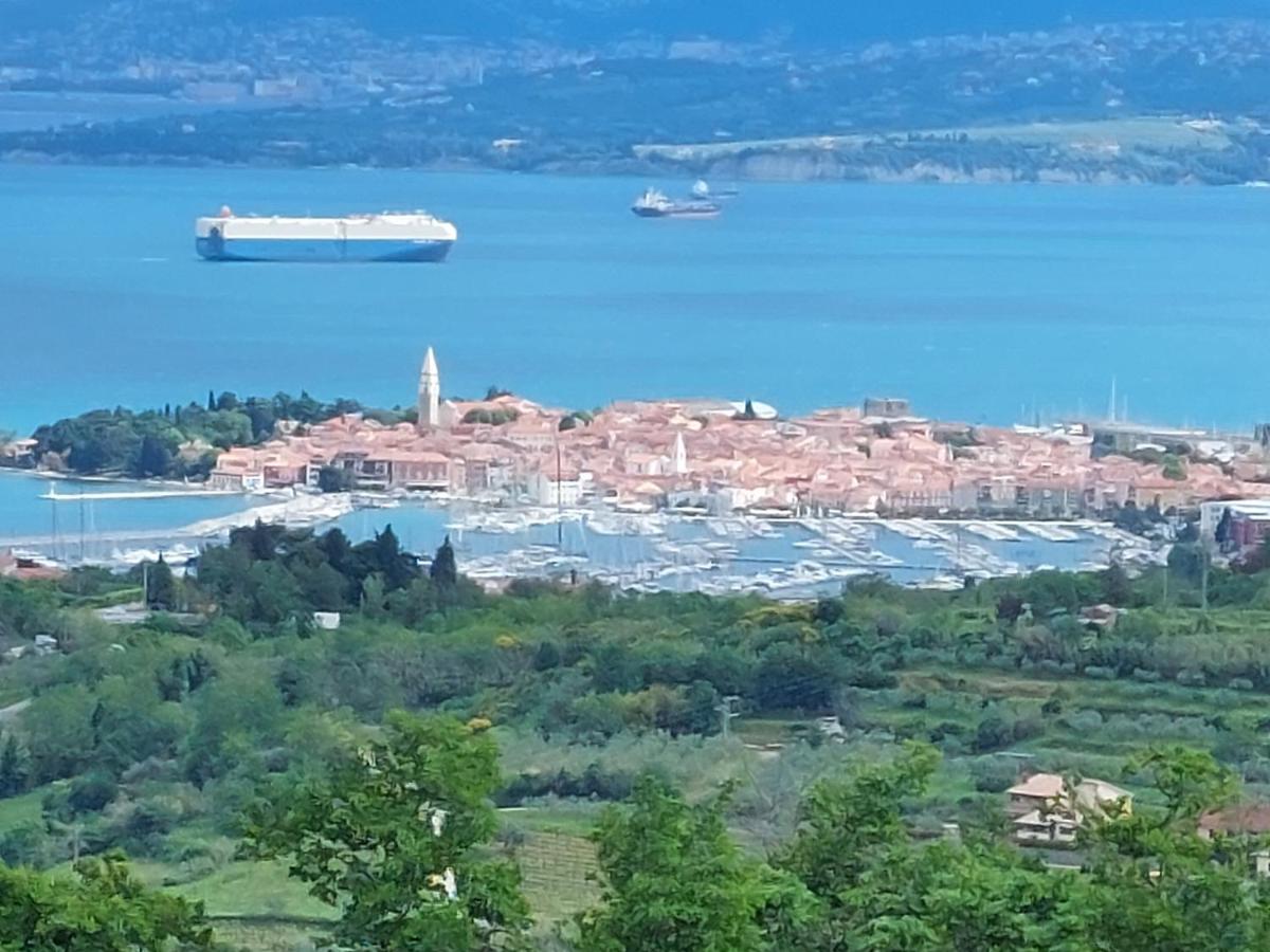 la belavista view 3