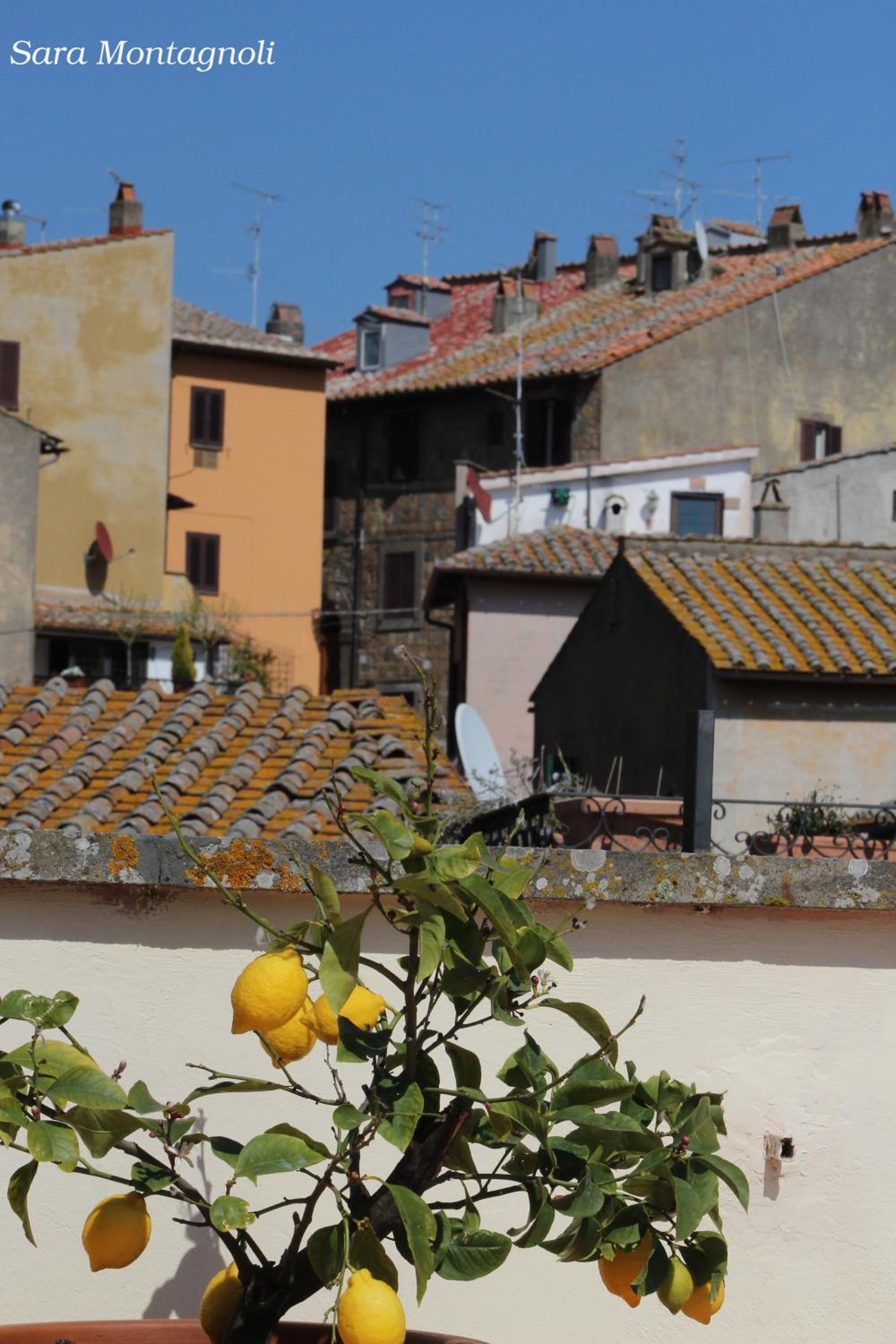 La Terrazza, photo 43