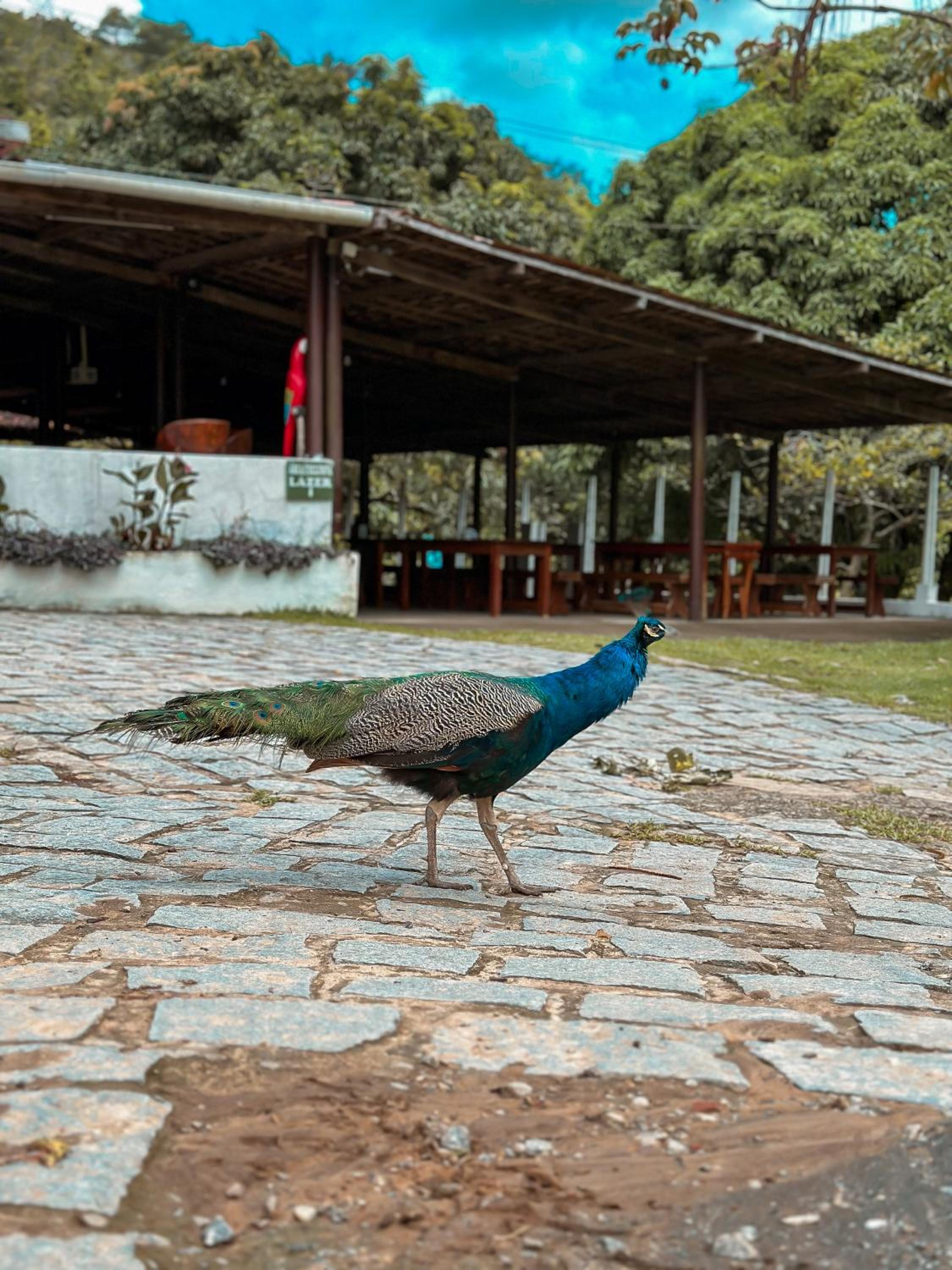 EcoFlat Moderno e Aconchegante