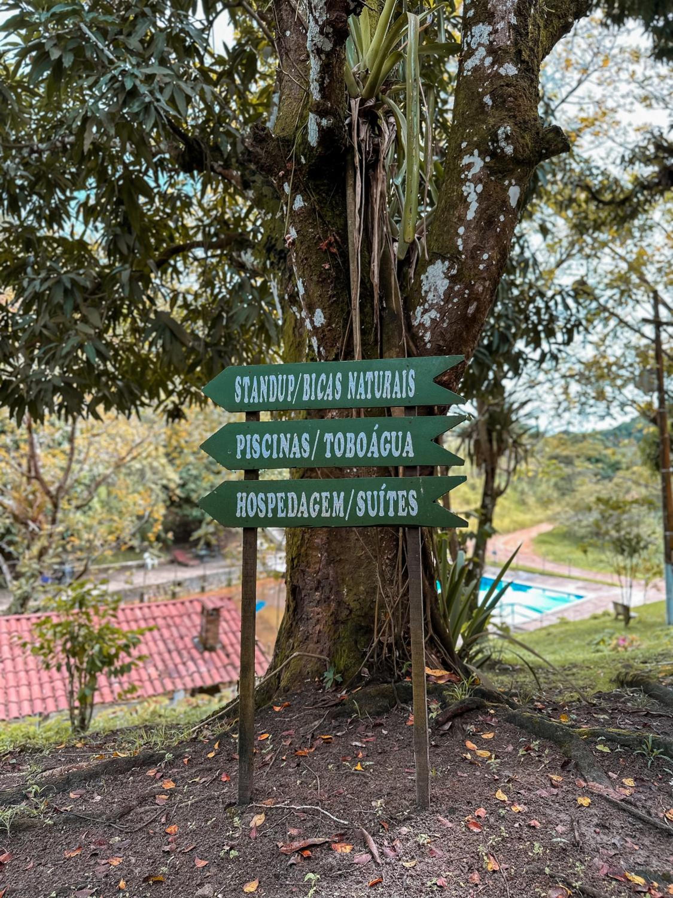 EcoFlat Moderno e Aconchegante