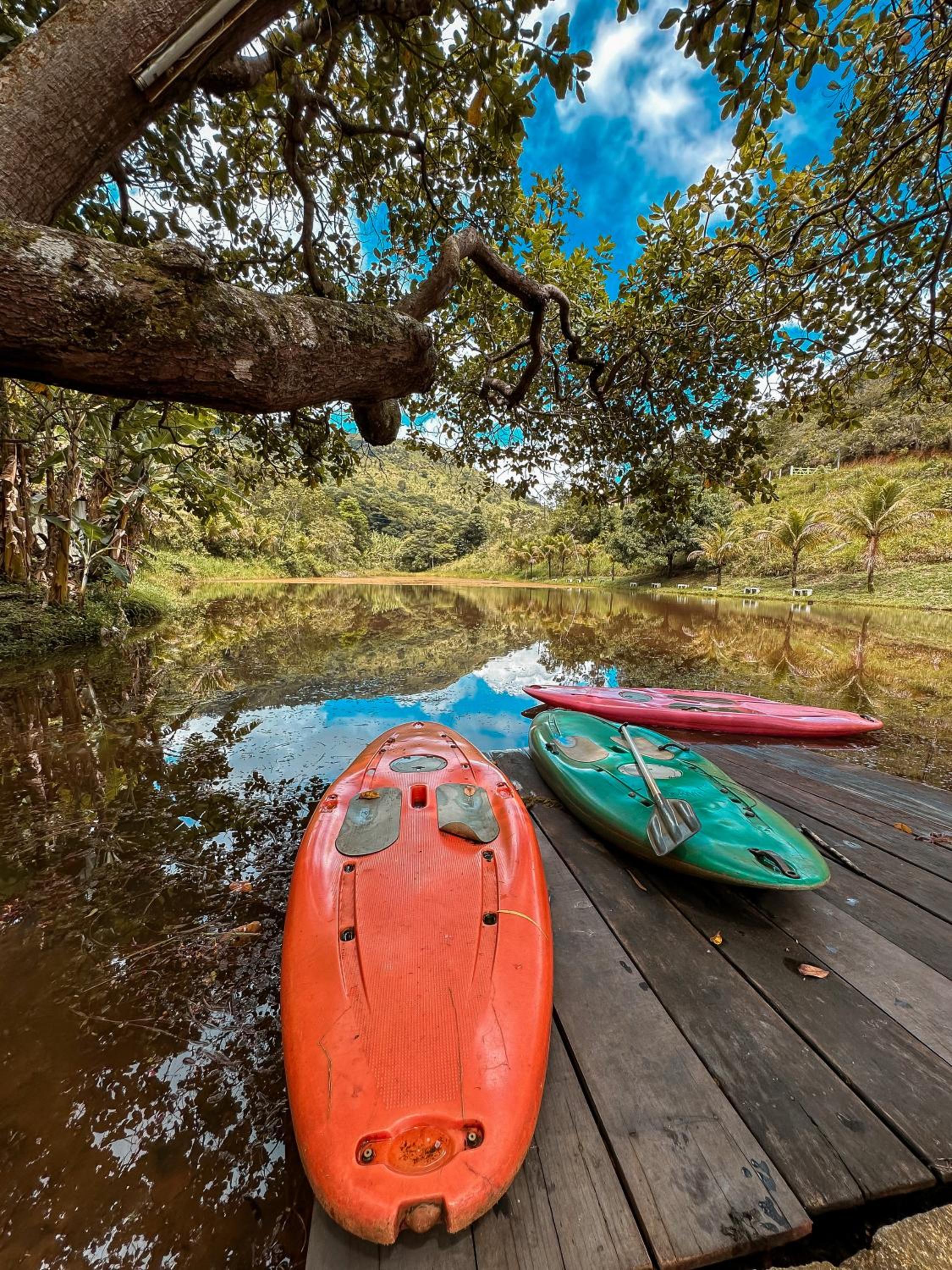 EcoFlat Moderno e Aconchegante