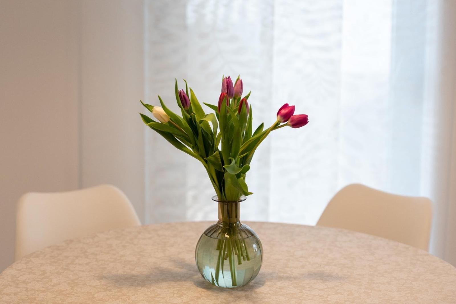 Apartment Bellezza