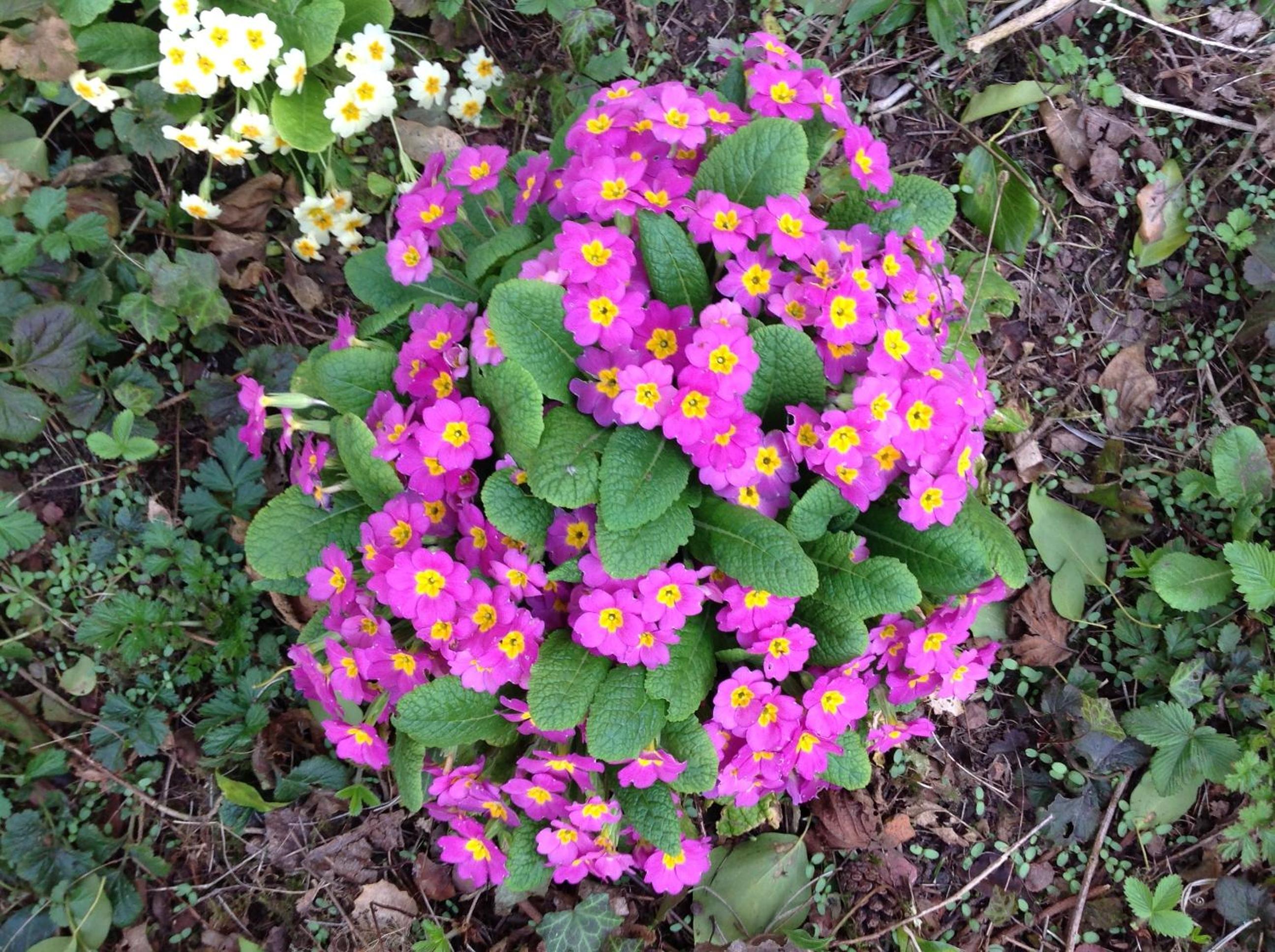 Photo 22