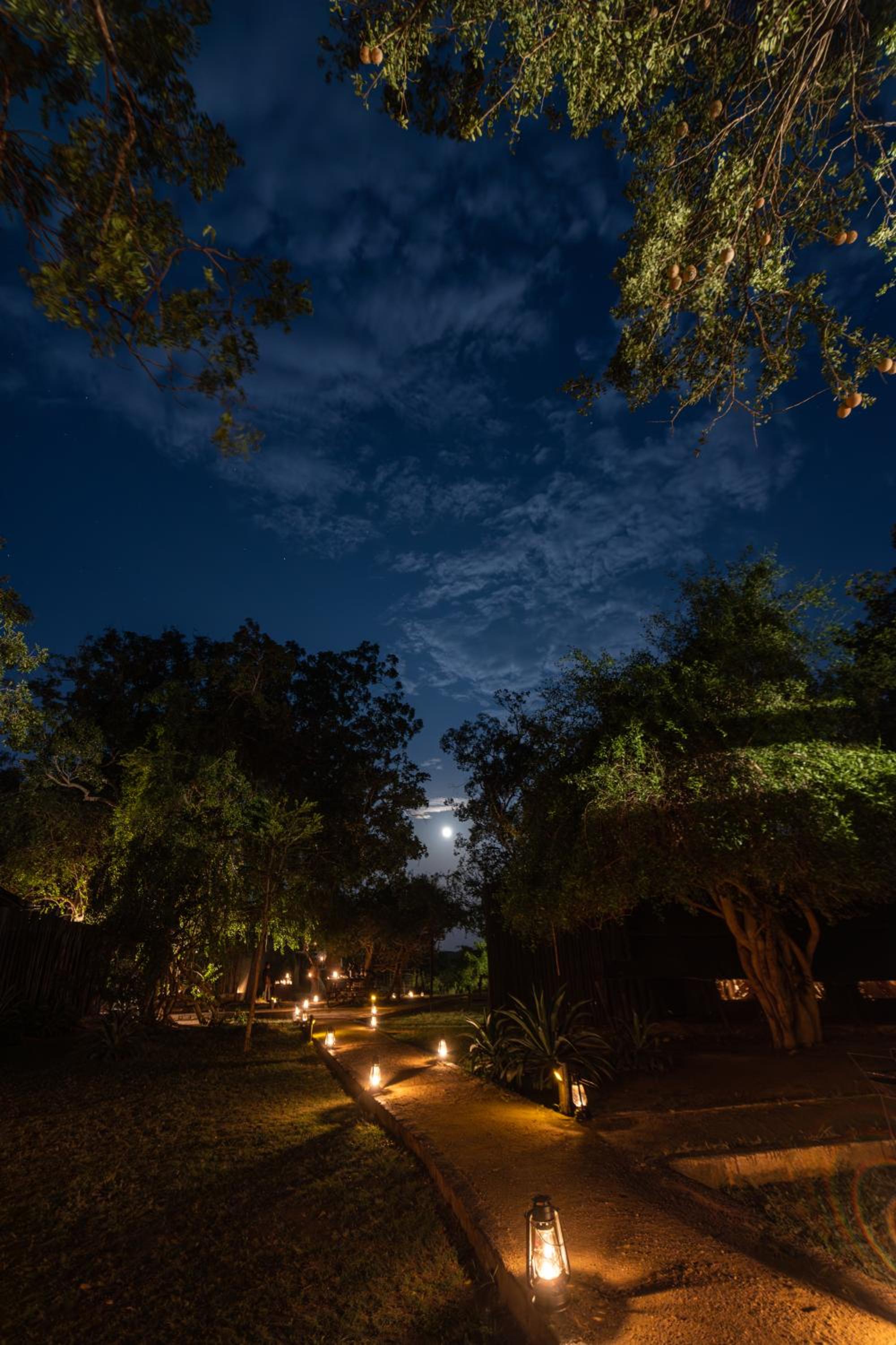 Leopard Trails Yala