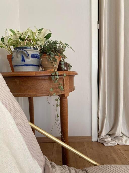 Superbe appartement avec jardin, sauna et jacuzzi