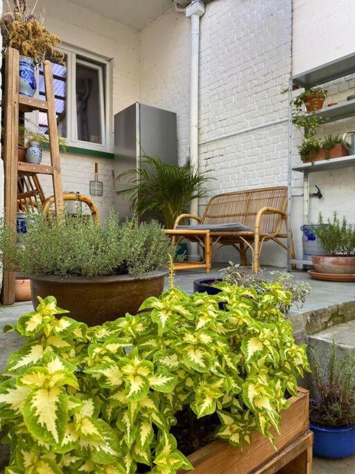 Superbe appartement avec jardin, sauna et jacuzzi