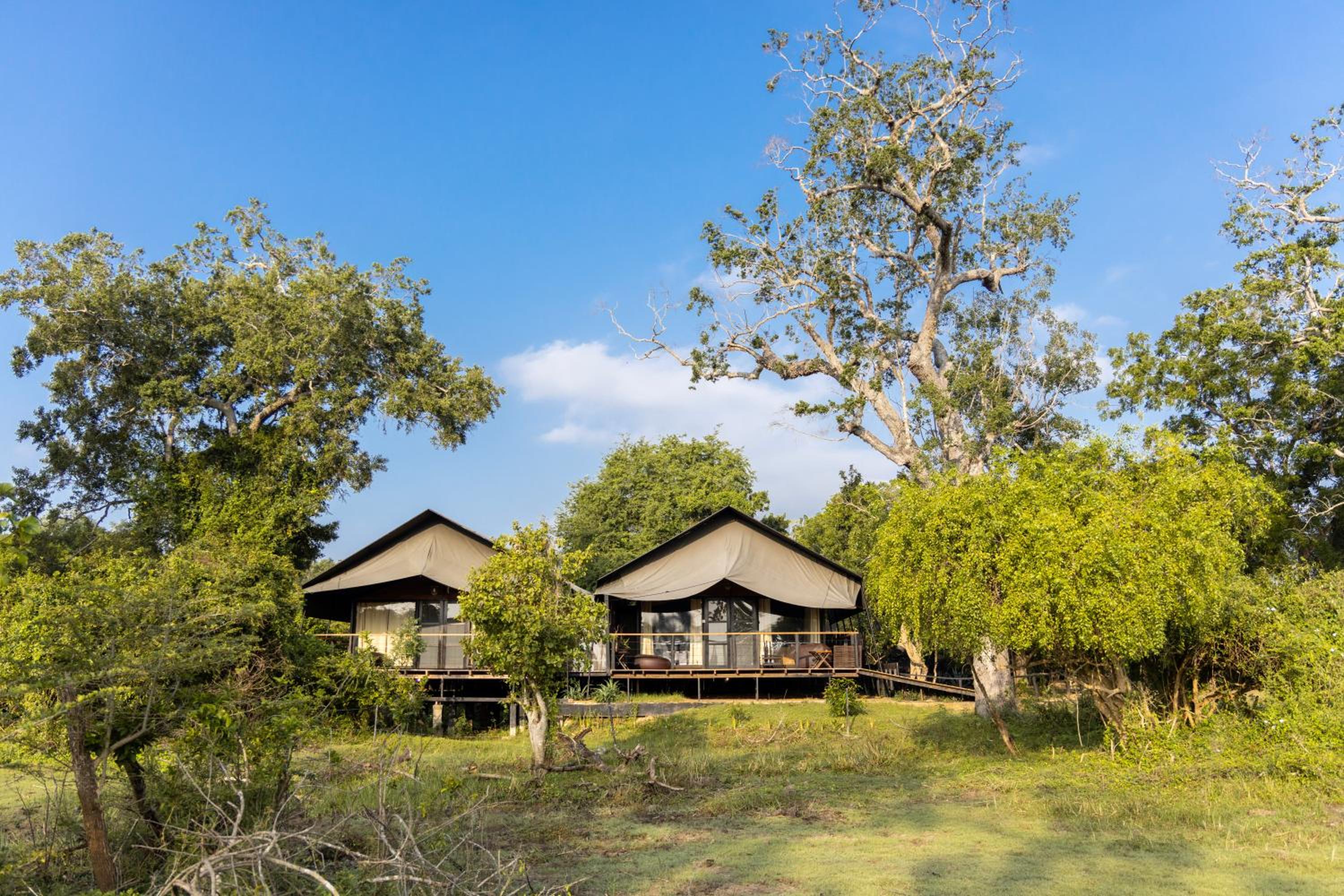 Leopard Trails Yala