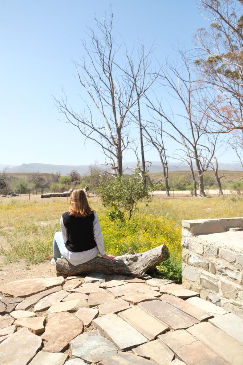 Skooltjie Cottage in the Tankwa Karoo view 3