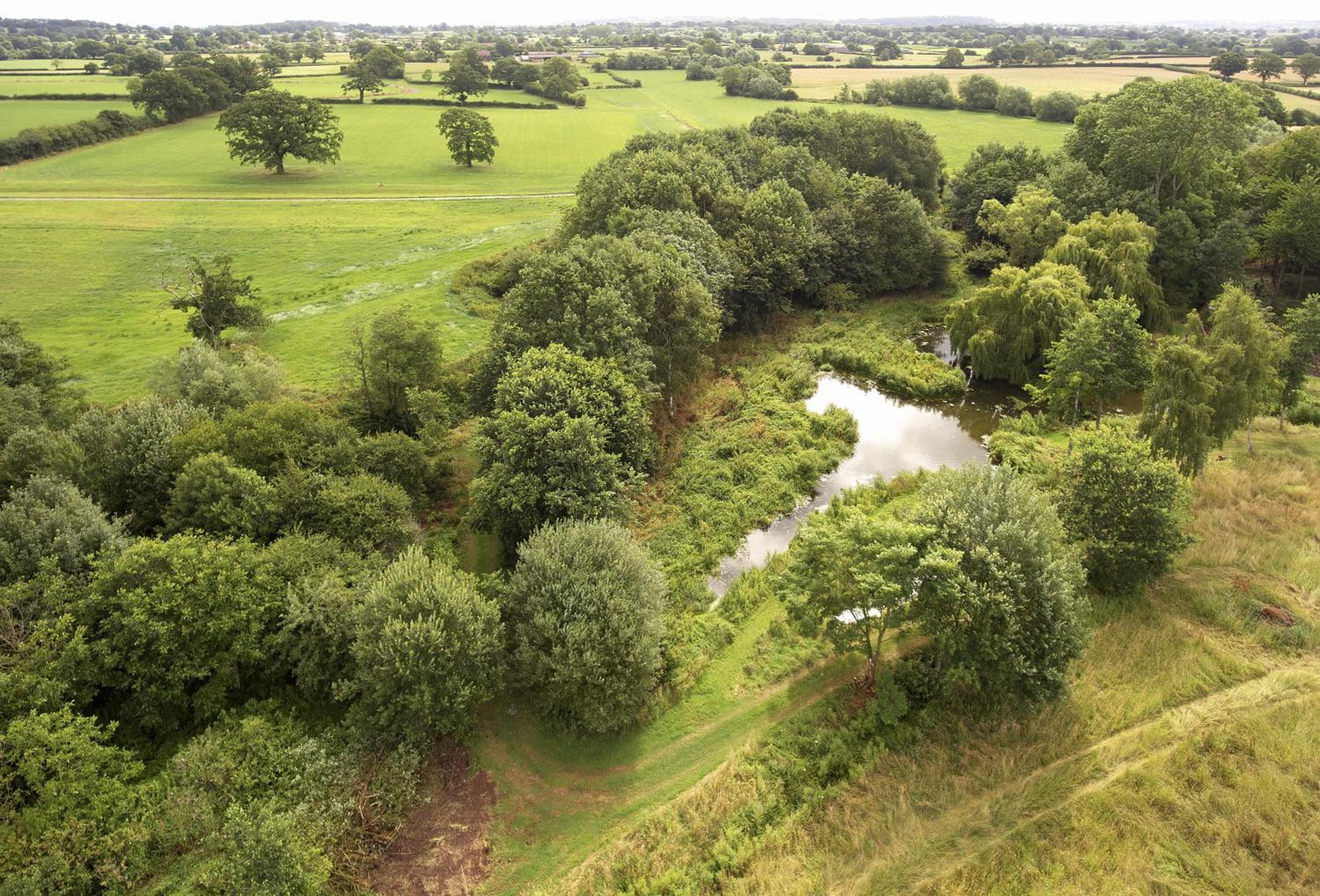 The Dovecote