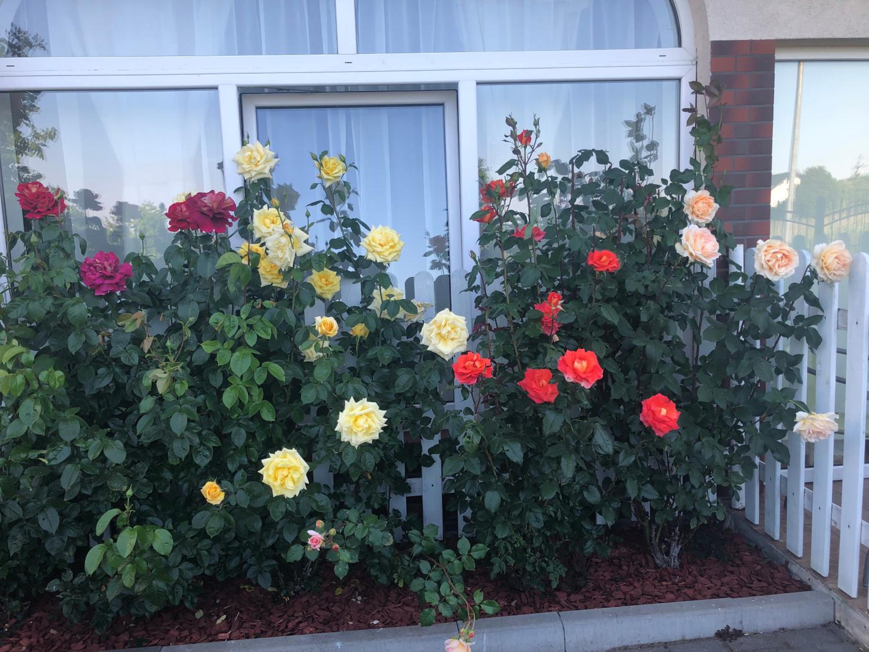 Photo 43