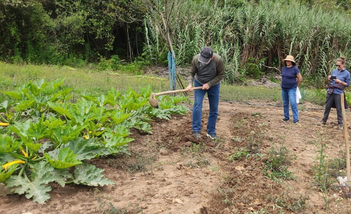 Risgua