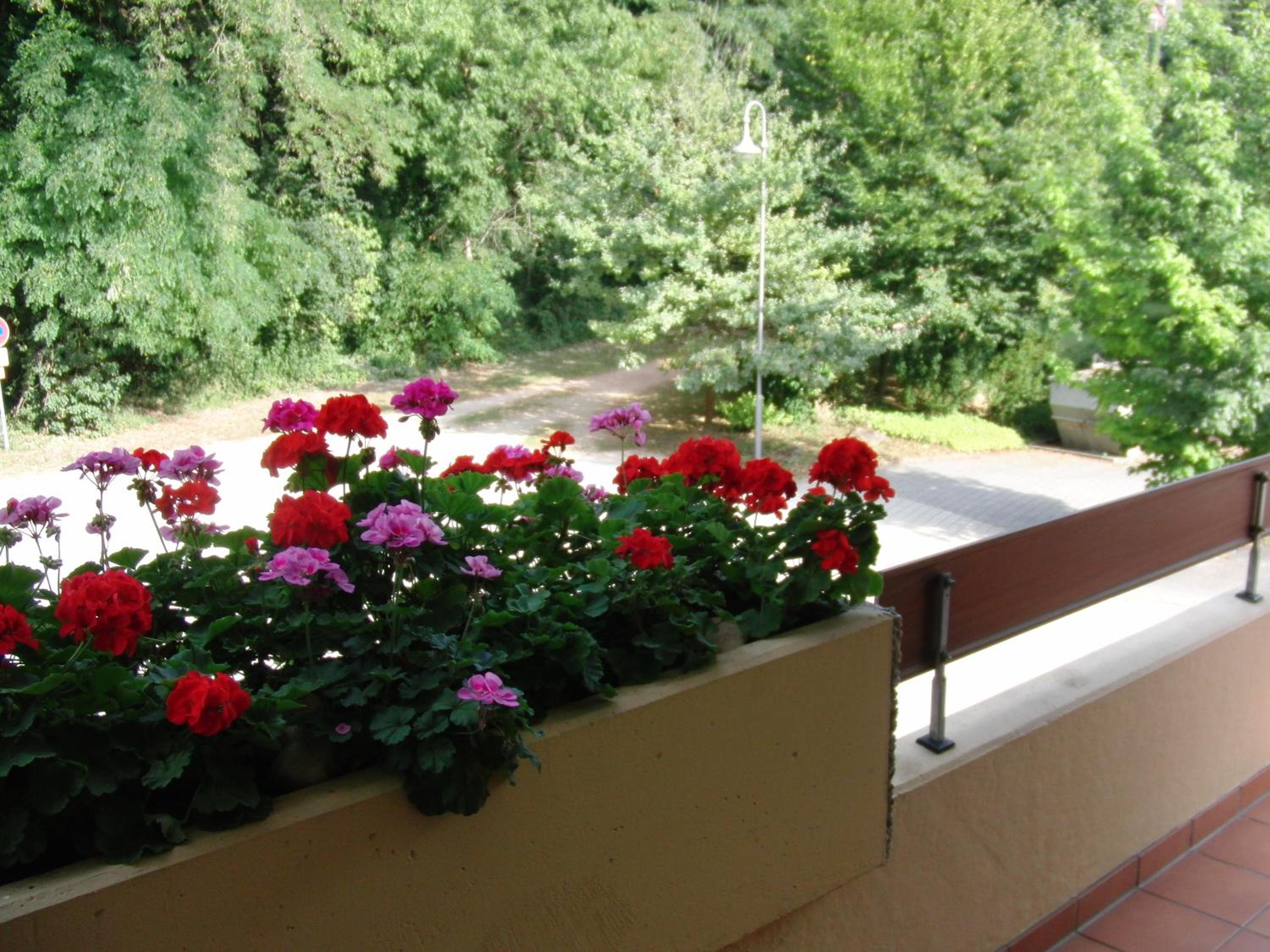 Appartementhaus im Grün