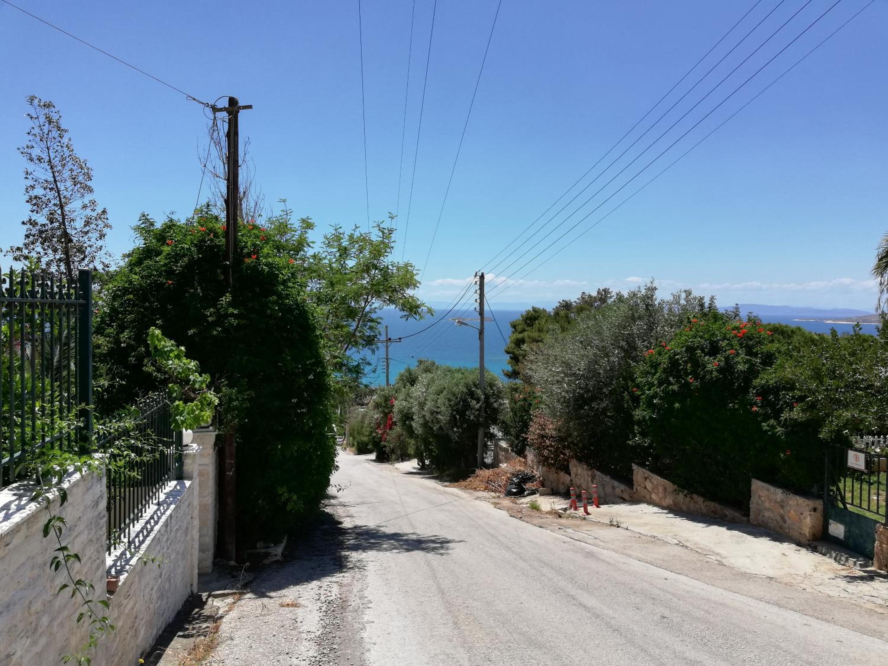ALTHEA HOLIDAY STUDIO view 5