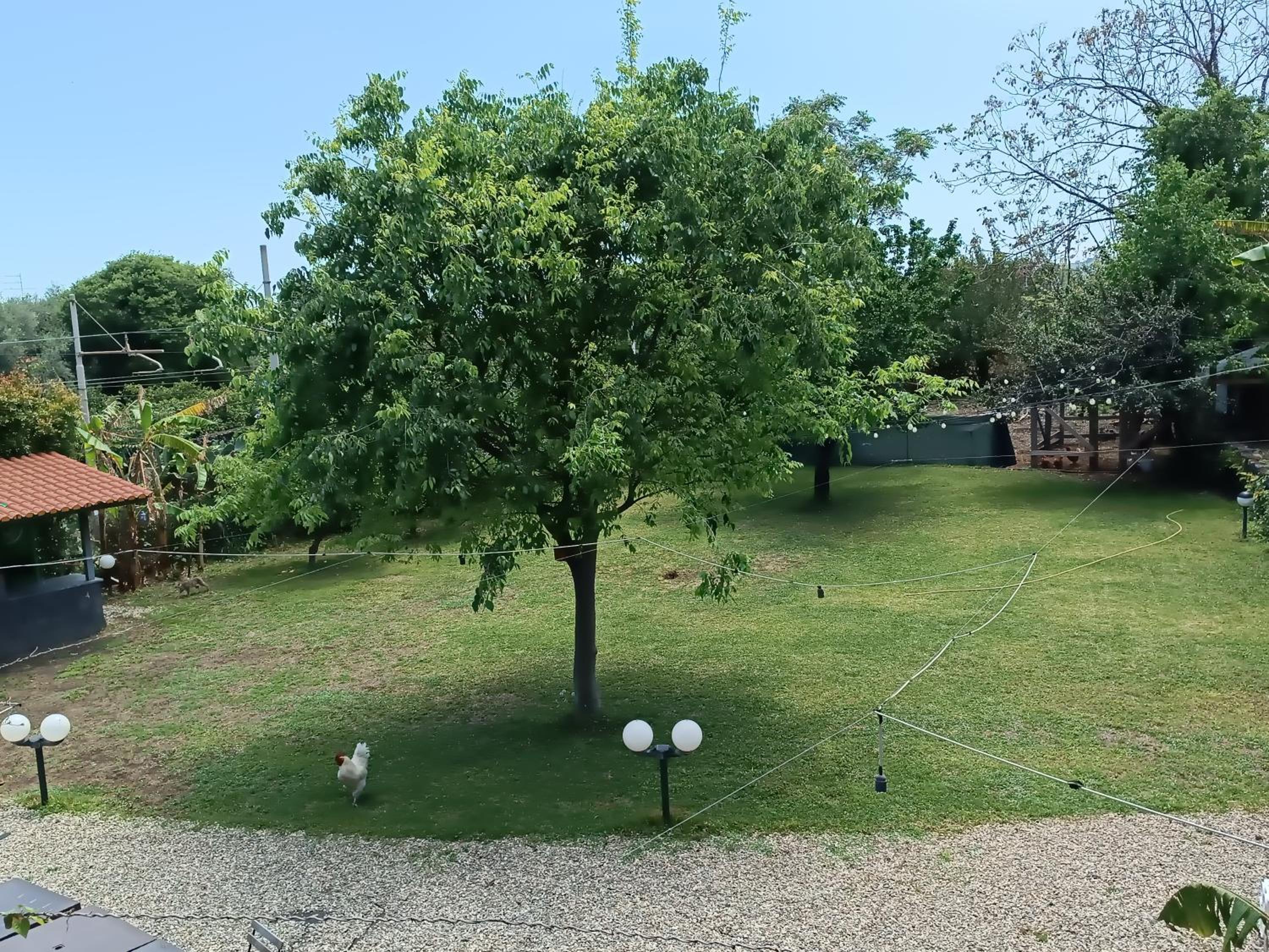 B&B Villa Lidia