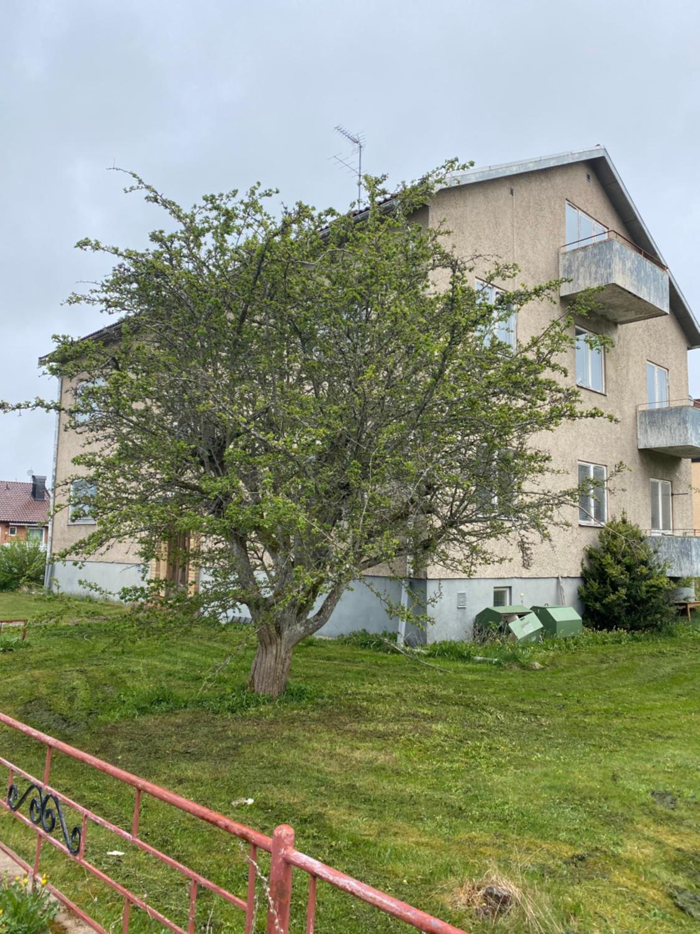 Lektorn