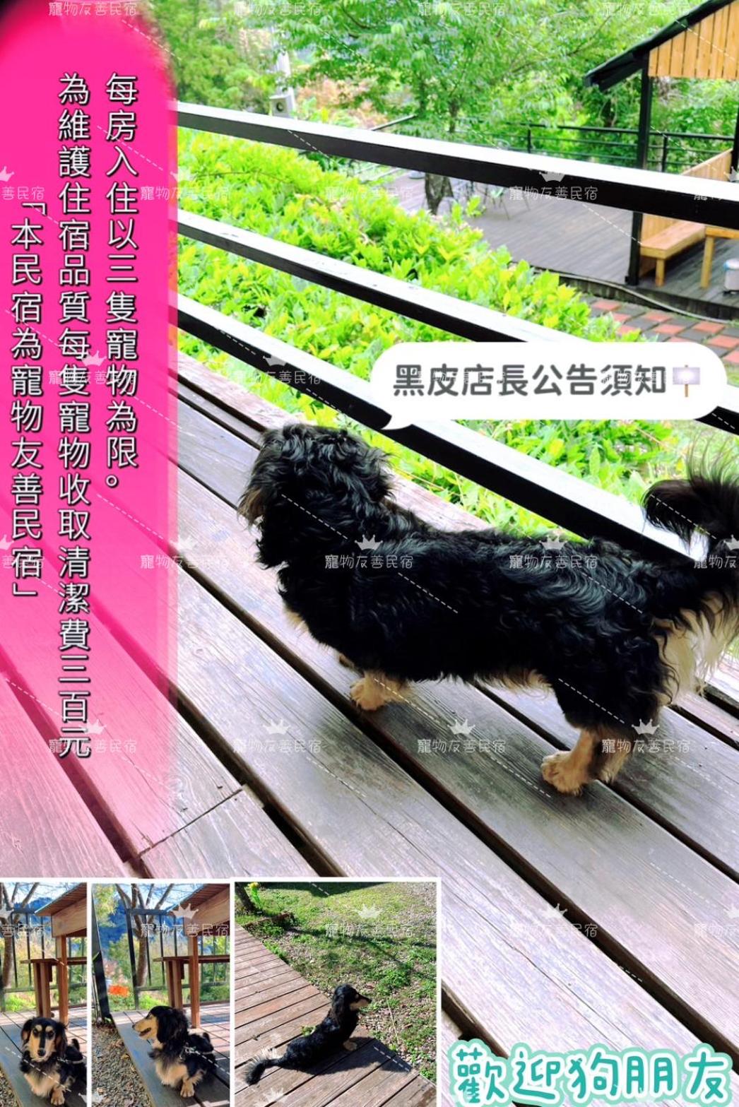 Photo 42