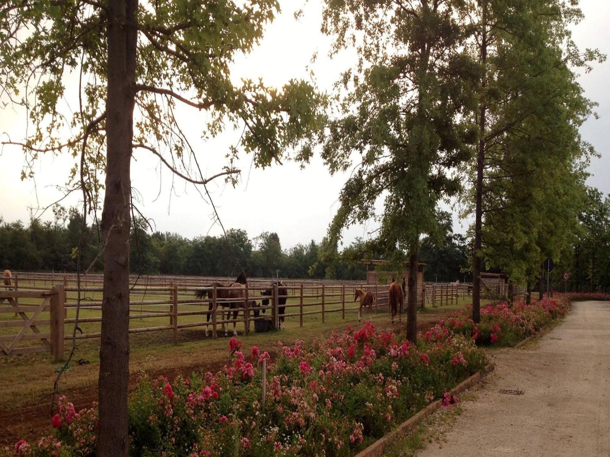 Agriturismo Il Boschetto