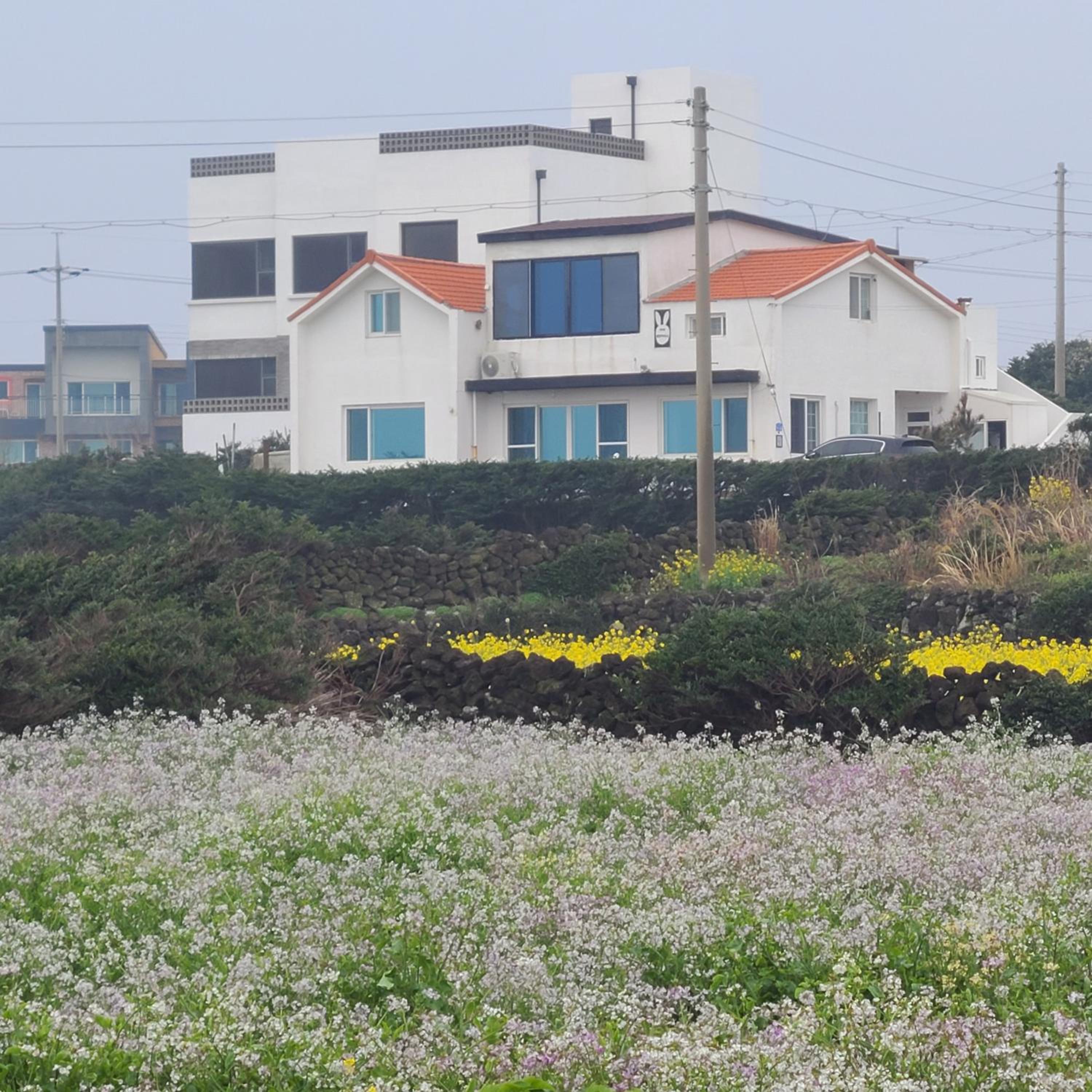 Rabit Island healing house view 4