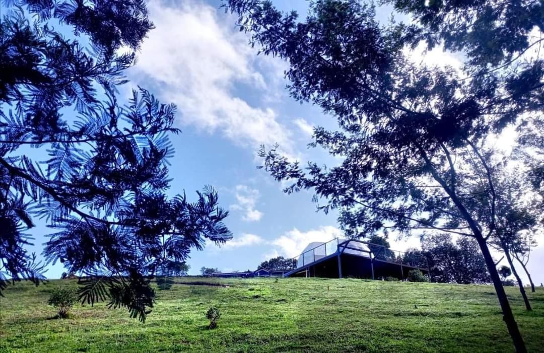 Hotel Glamping Altos De Hayuelos